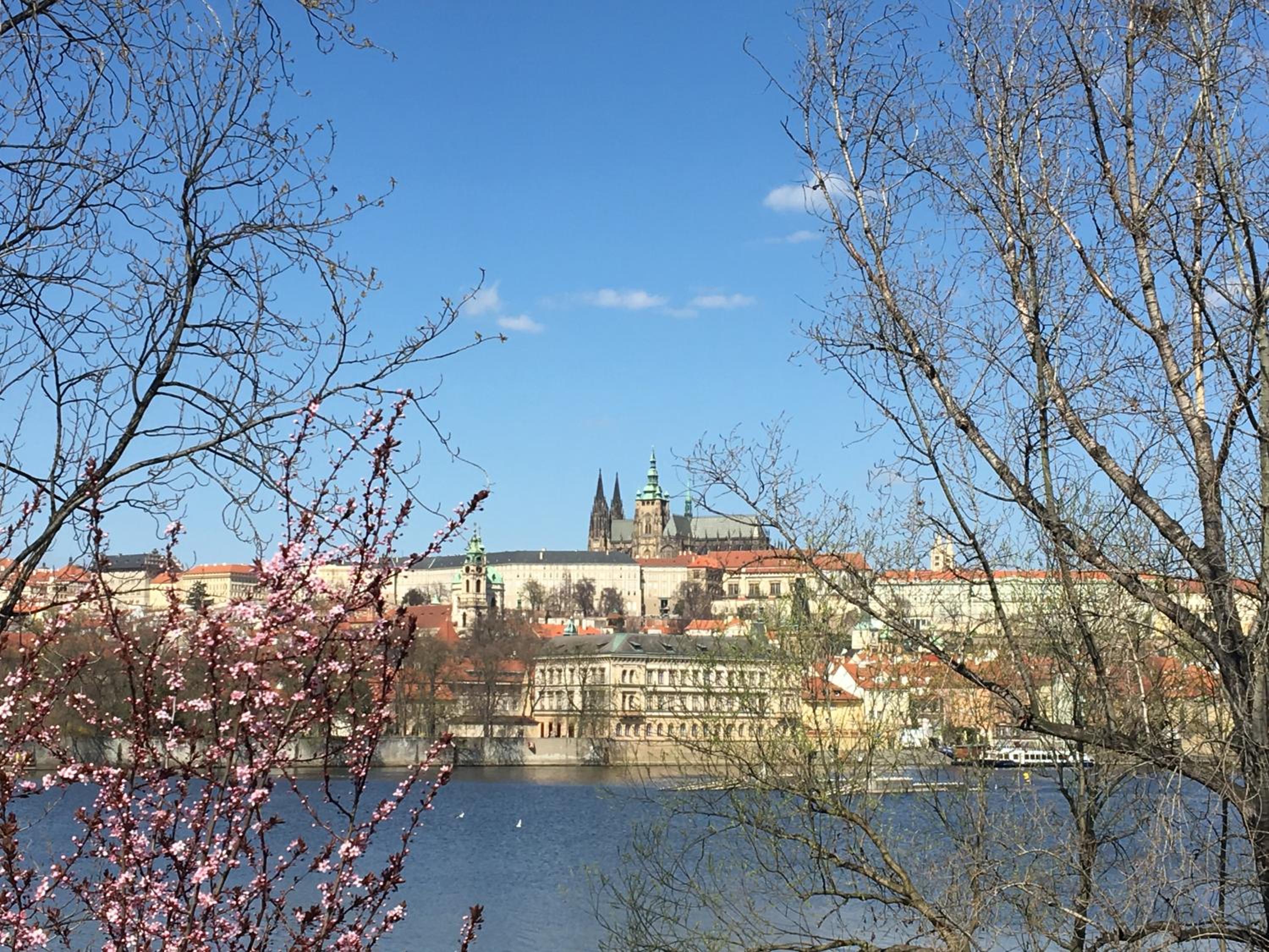 The Dancing House Residence, Two Bedroom Apartment with Balcony near river!
