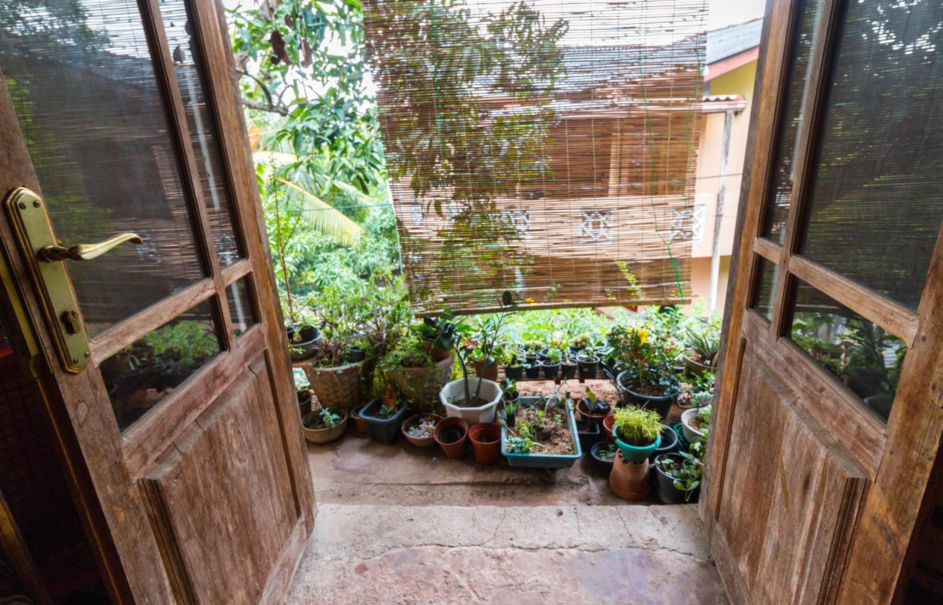Amma's Homestay view 5