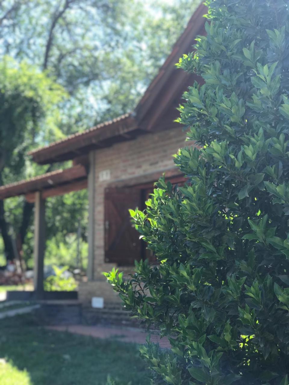 Cabañas Luz de Luna