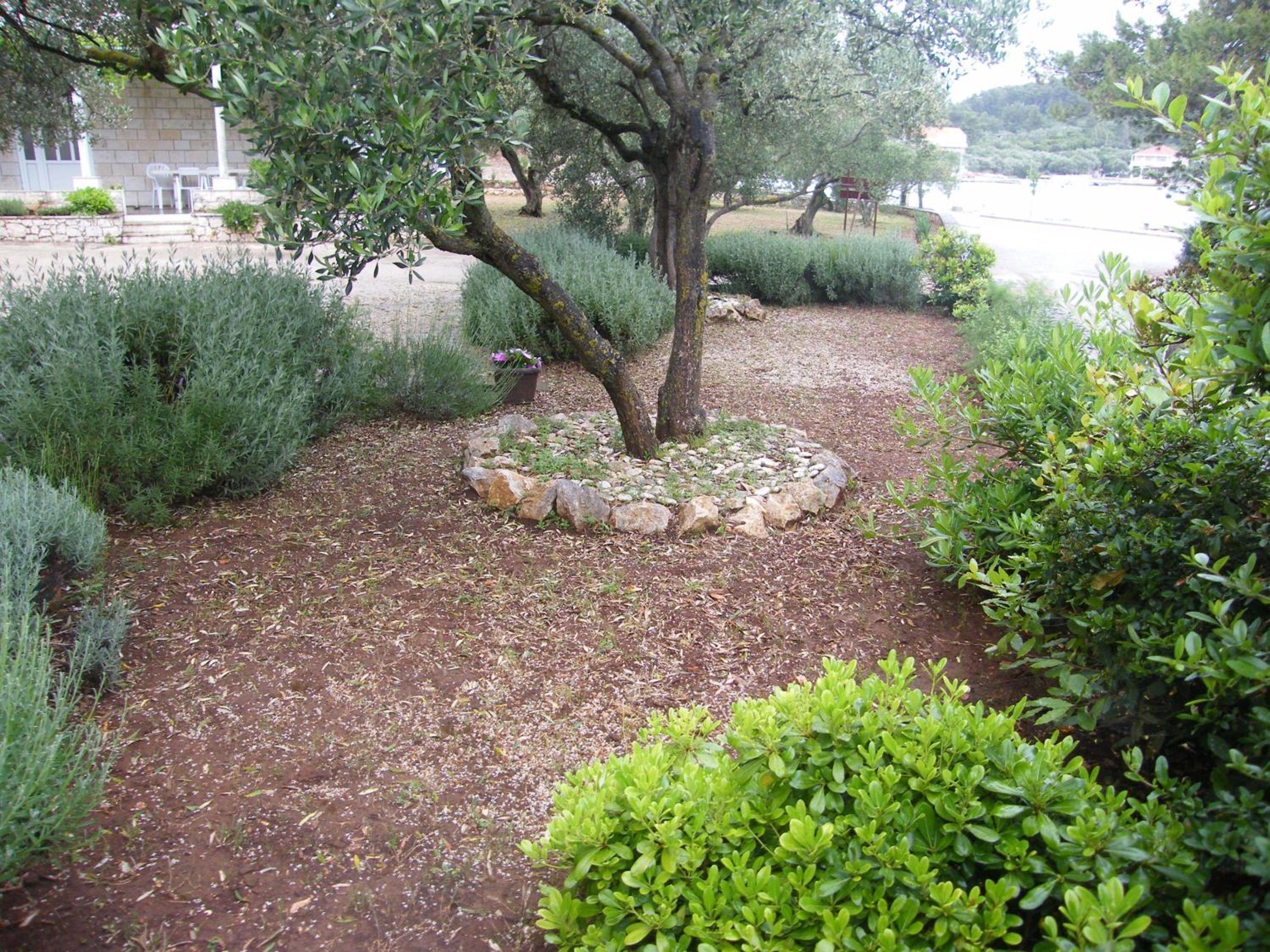 Photo 53