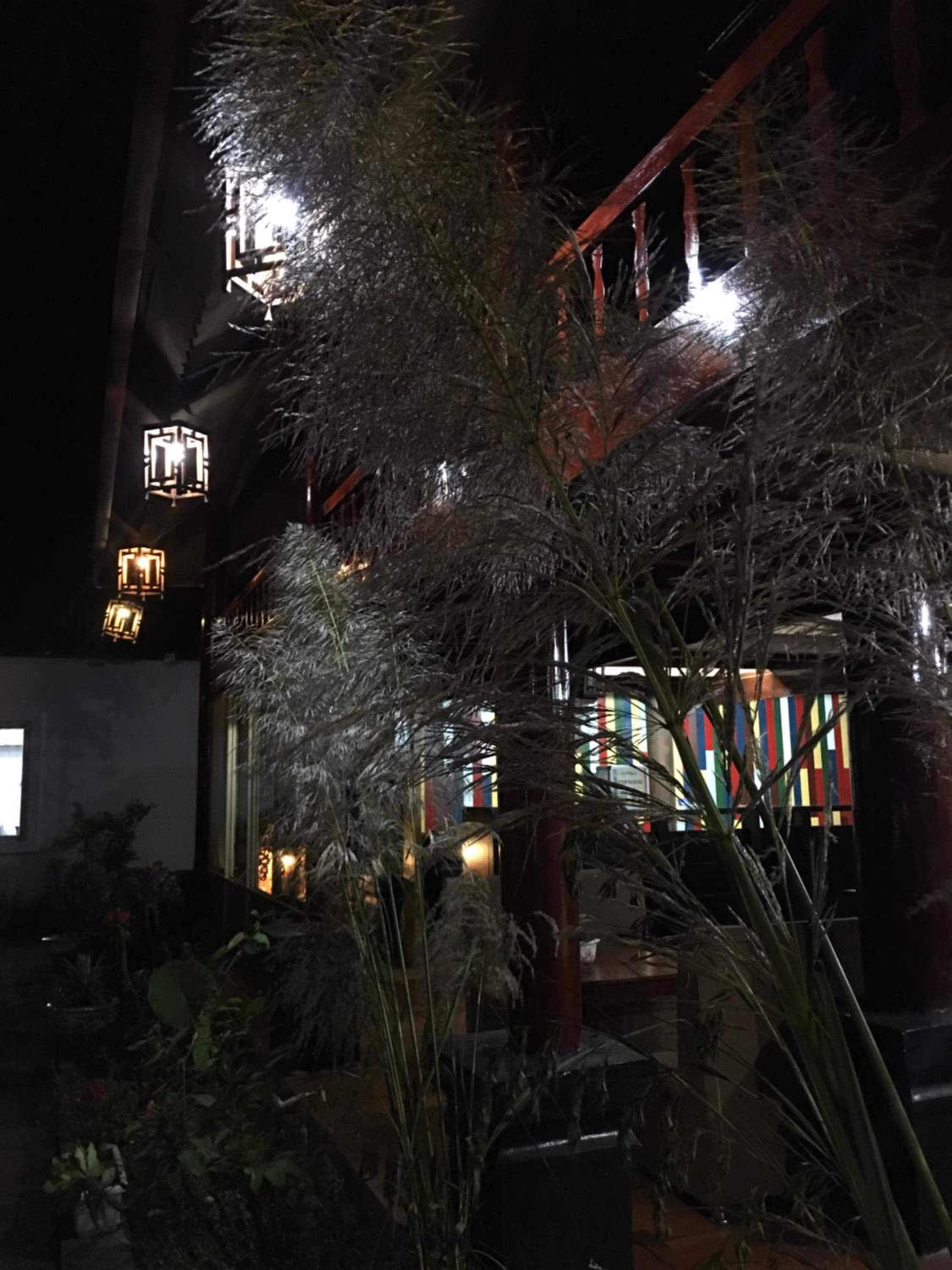 Cat Ba Eco Lodge