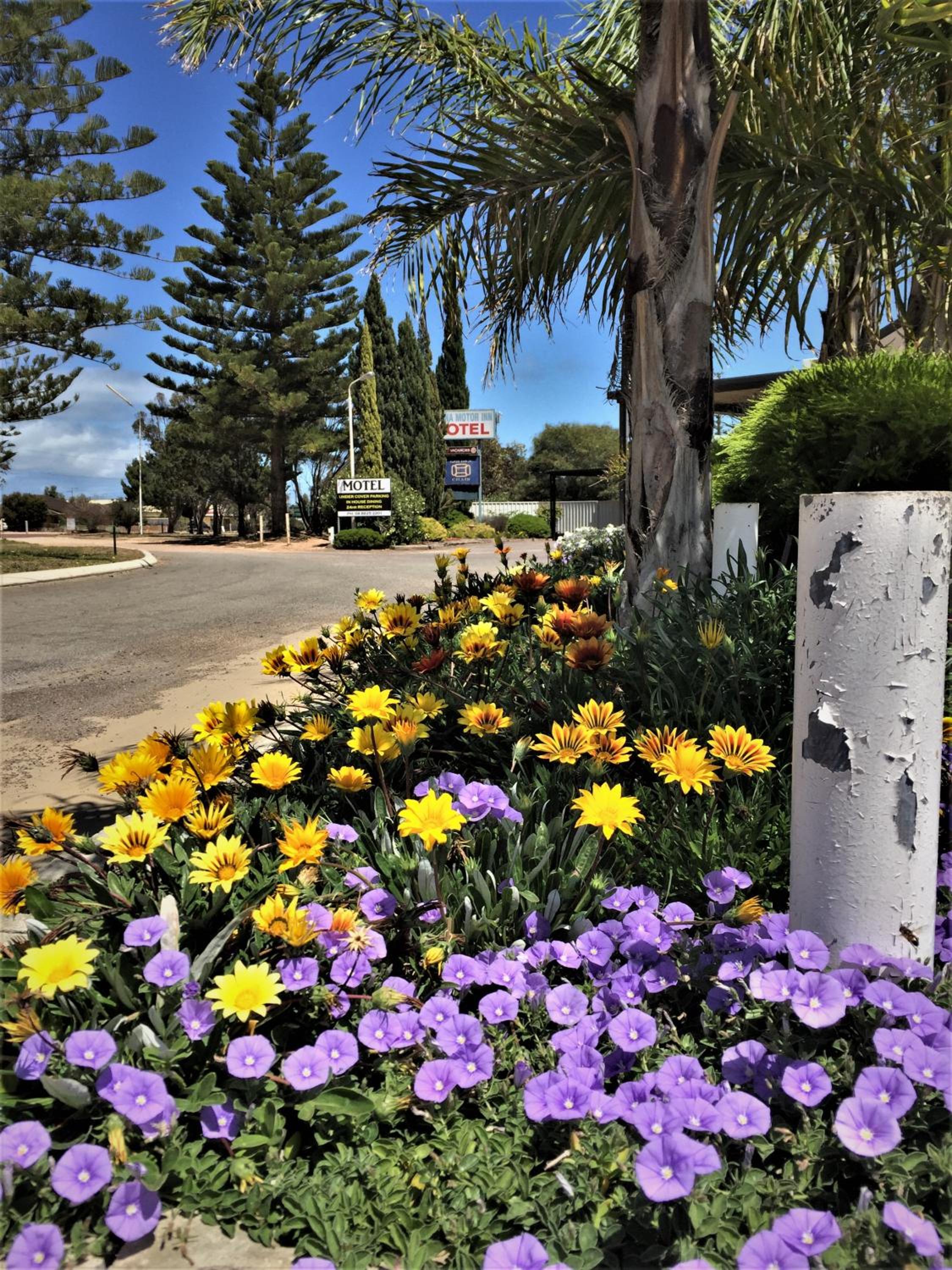 Ceduna Motor Inn