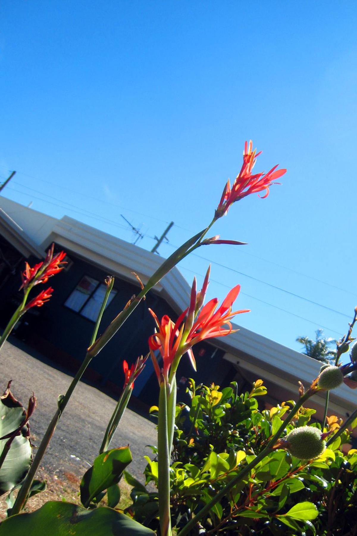 Childers Budget Accommodation