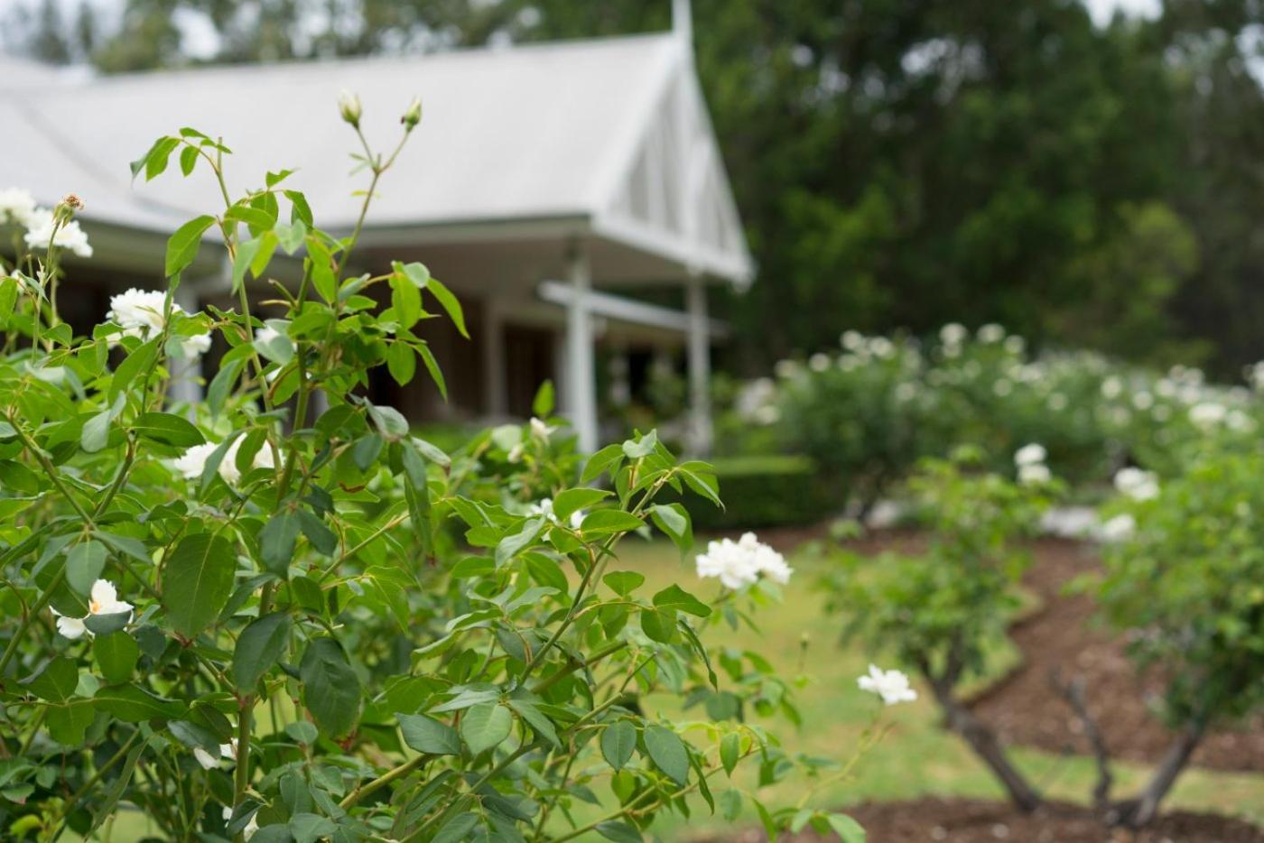 Thistle Hill Guesthouse - walk to many wineries and restaurants