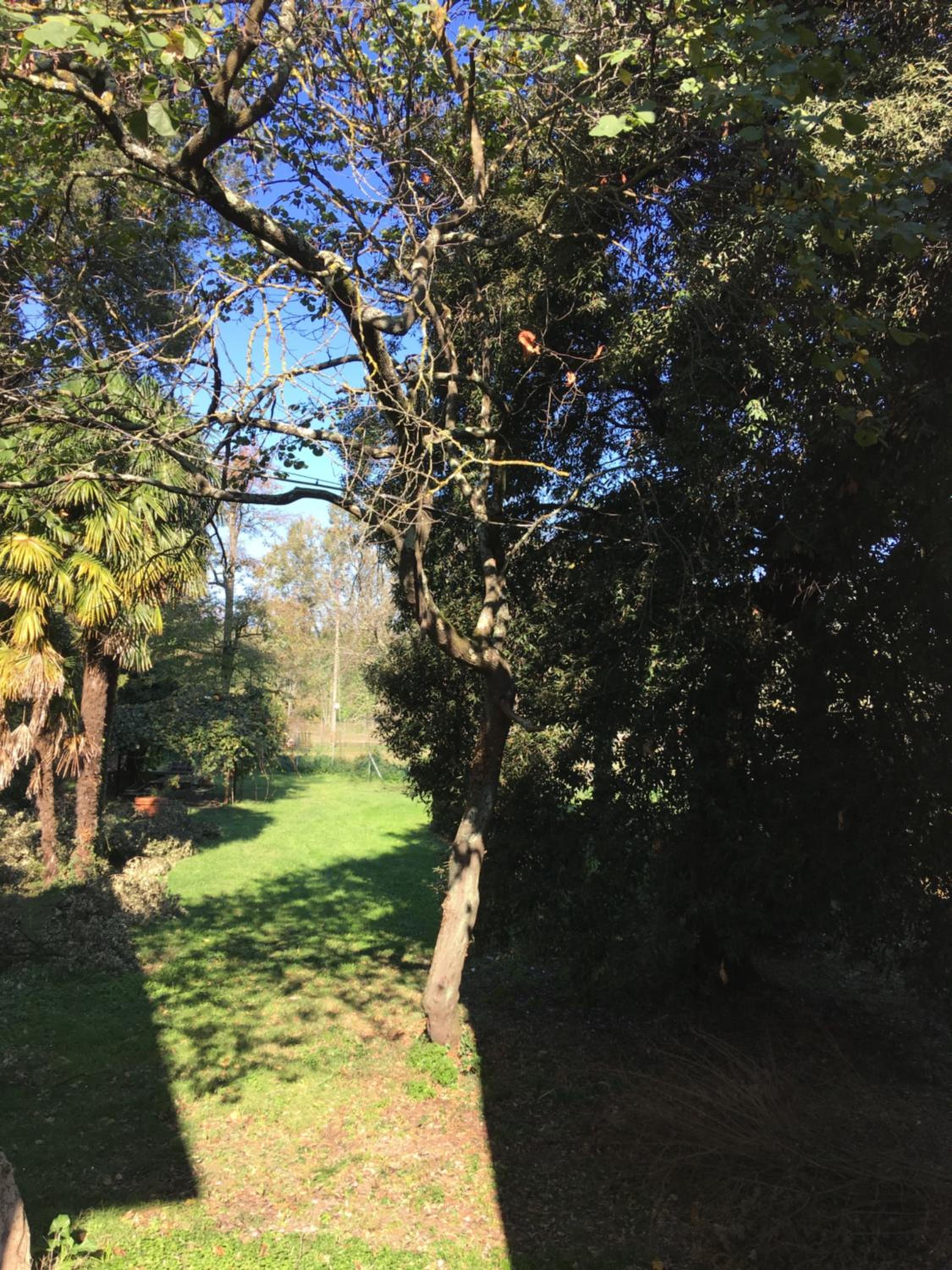 Villa La Dogana B&B di Charme - Historic Villa with a beautiful garden - private parking view 3