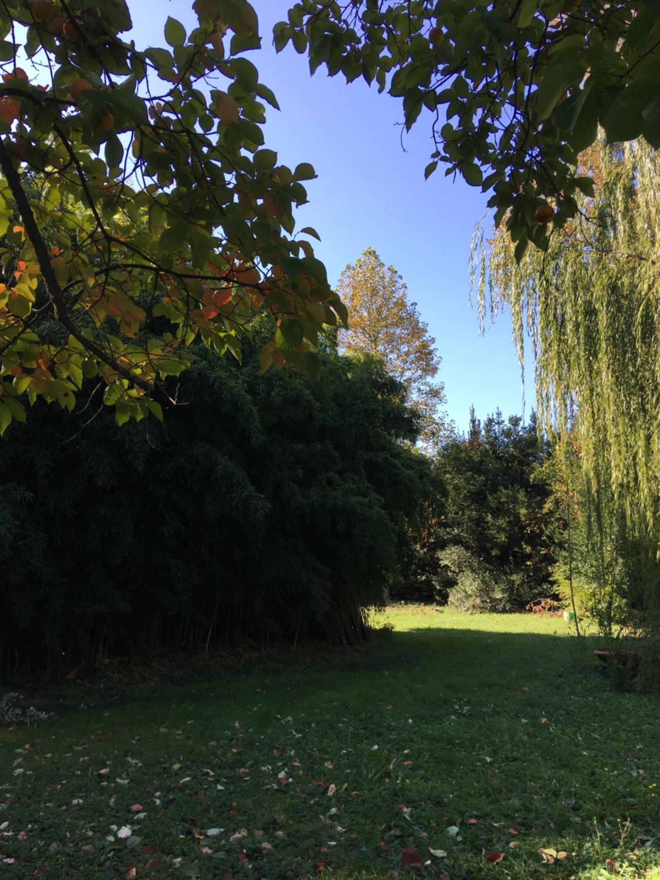 Villa La Dogana B&B di Charme - Historic Villa with a beautiful garden - private parking view 5