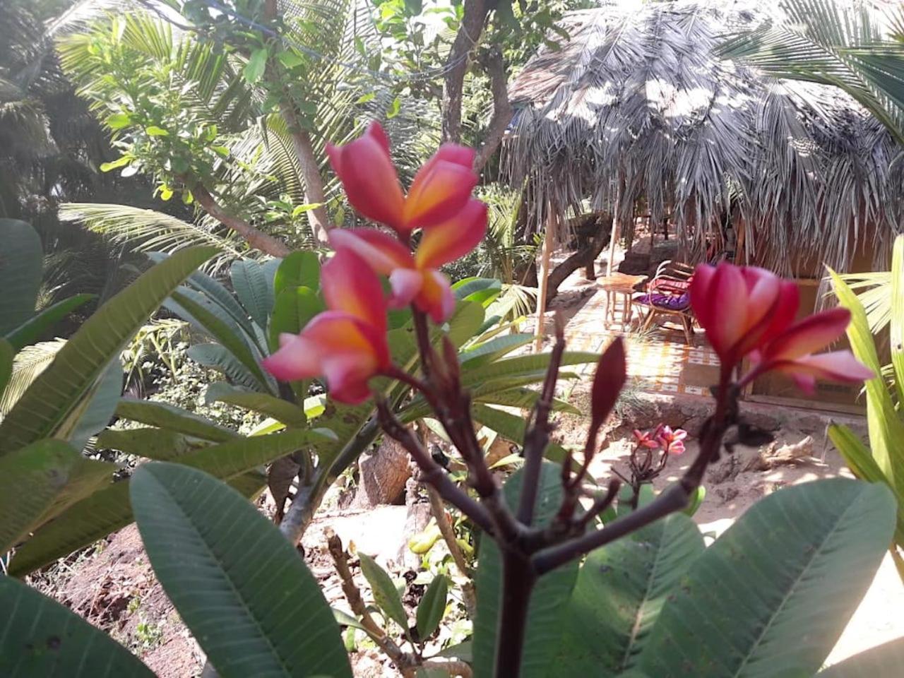 Photo 44