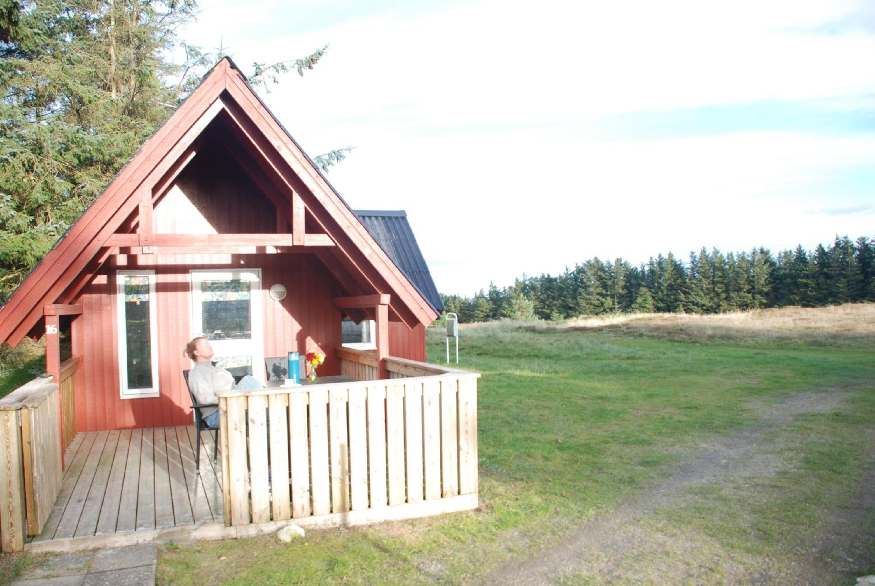 Photo 41