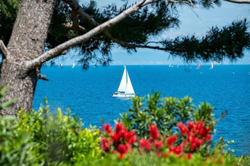Casa Ana Istria 1 view 4
