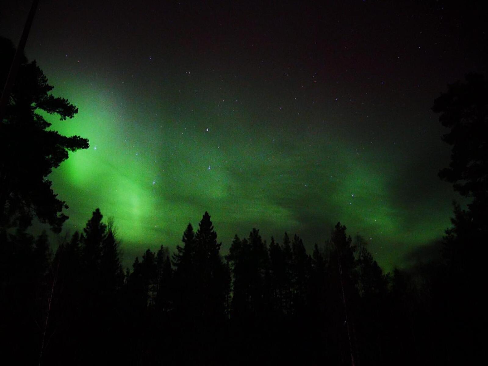 Vildmarks Lodge view 5