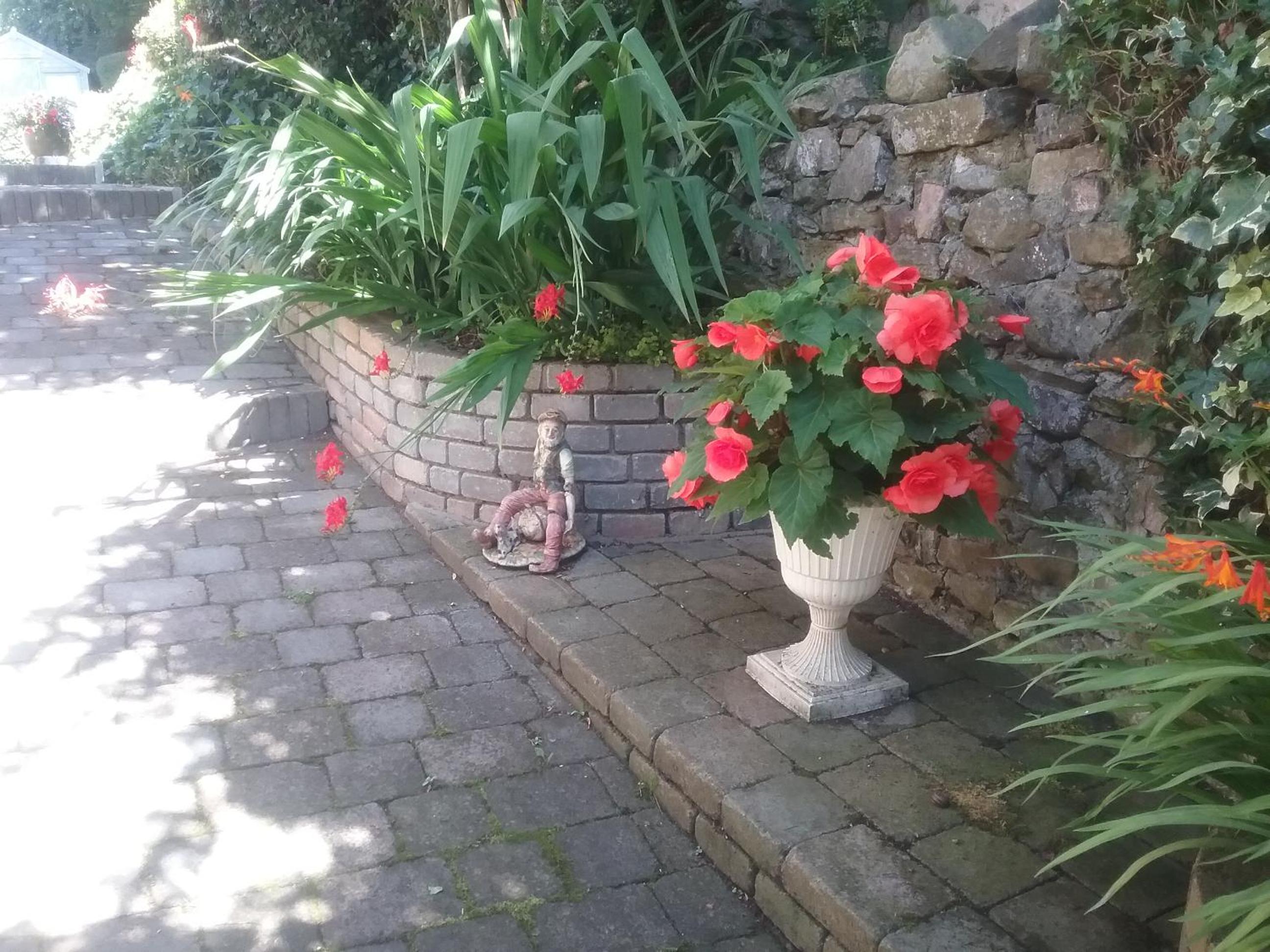 Ashleigh House Bed & Breakfast