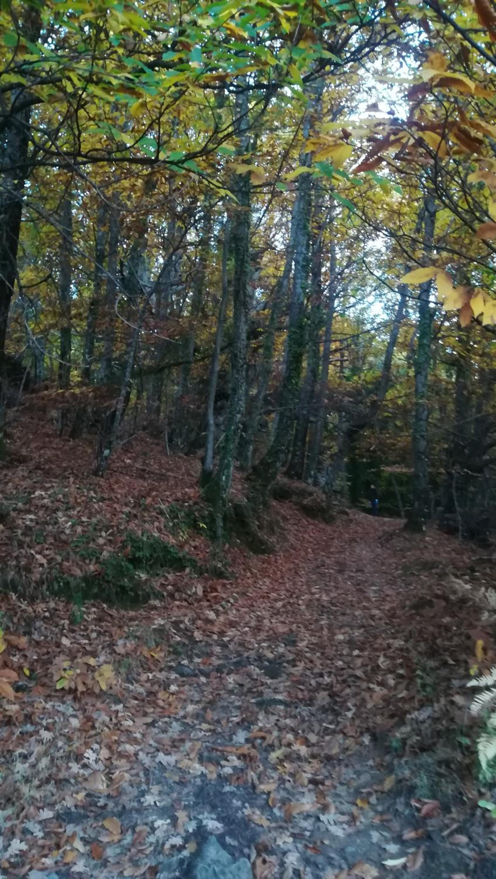 La Lancha del Jerte