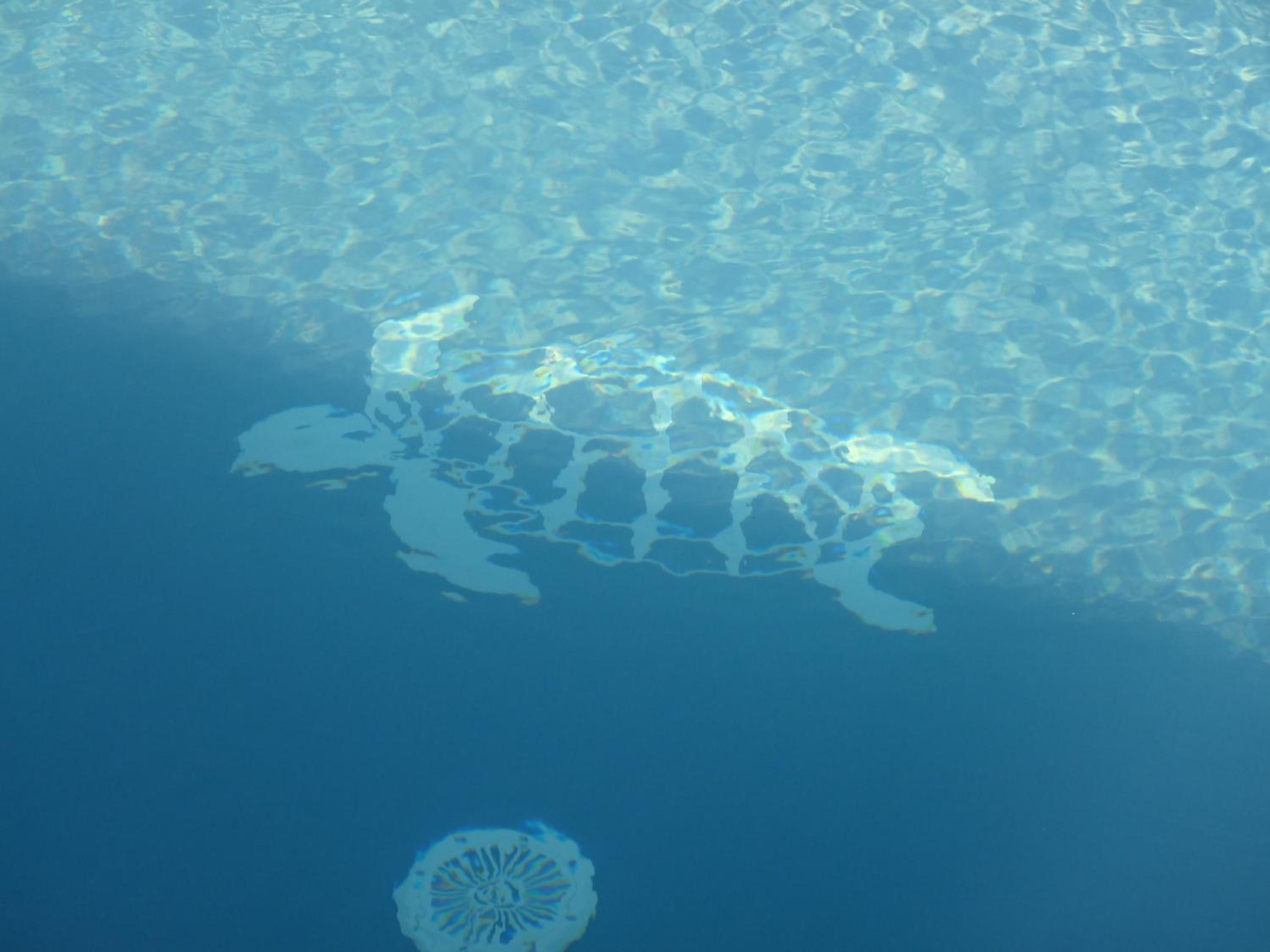 Gite La Tortue Bleue