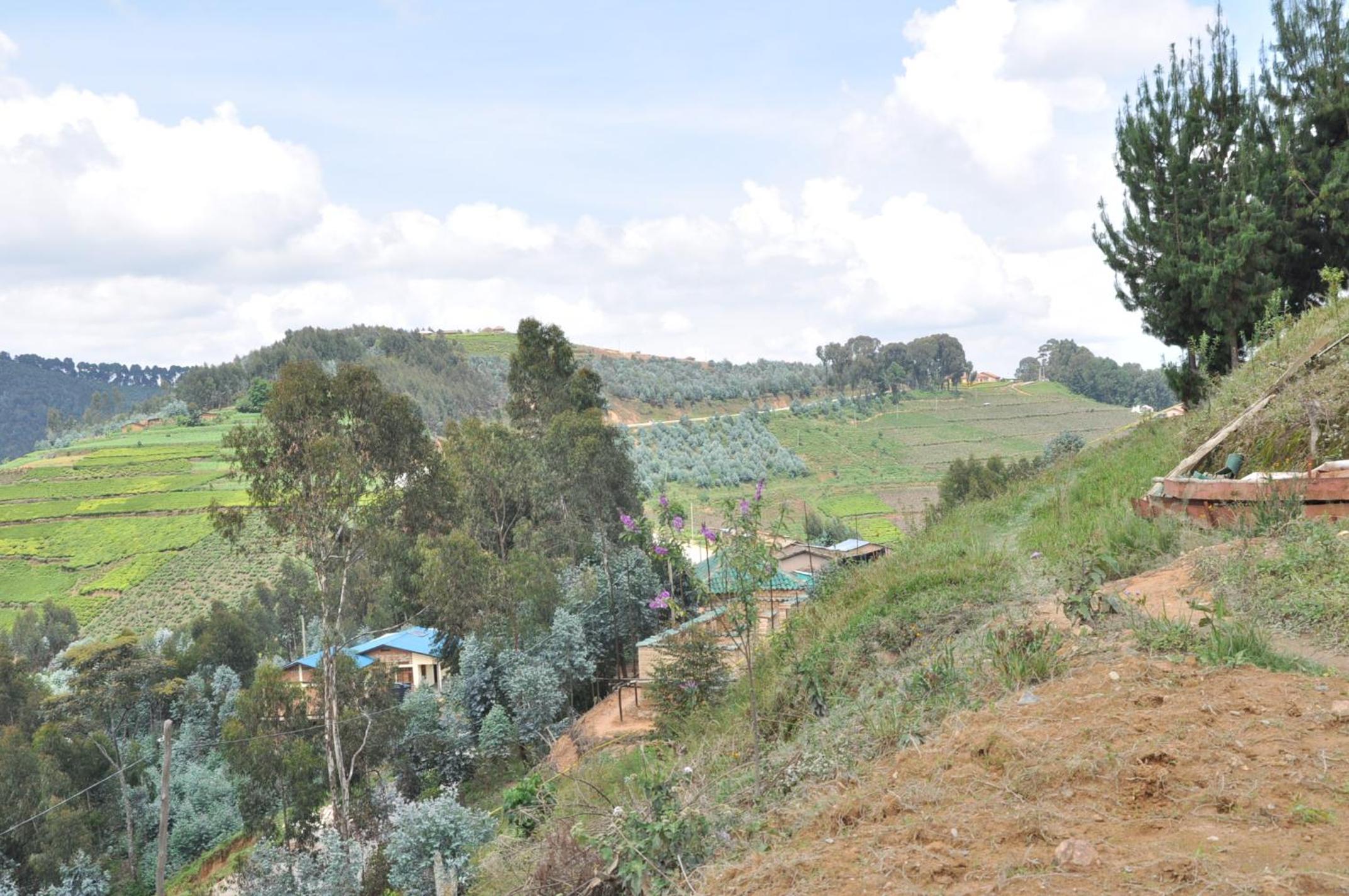 Nyungwe Nziza Ecolodge