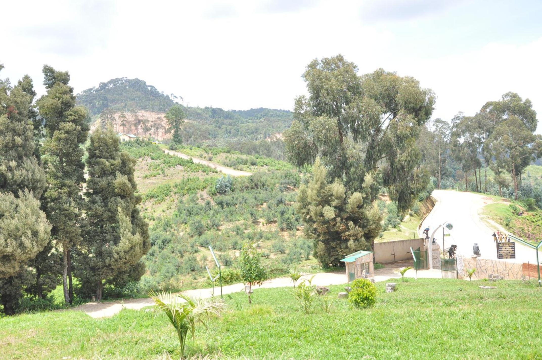 Nyungwe Nziza Ecolodge