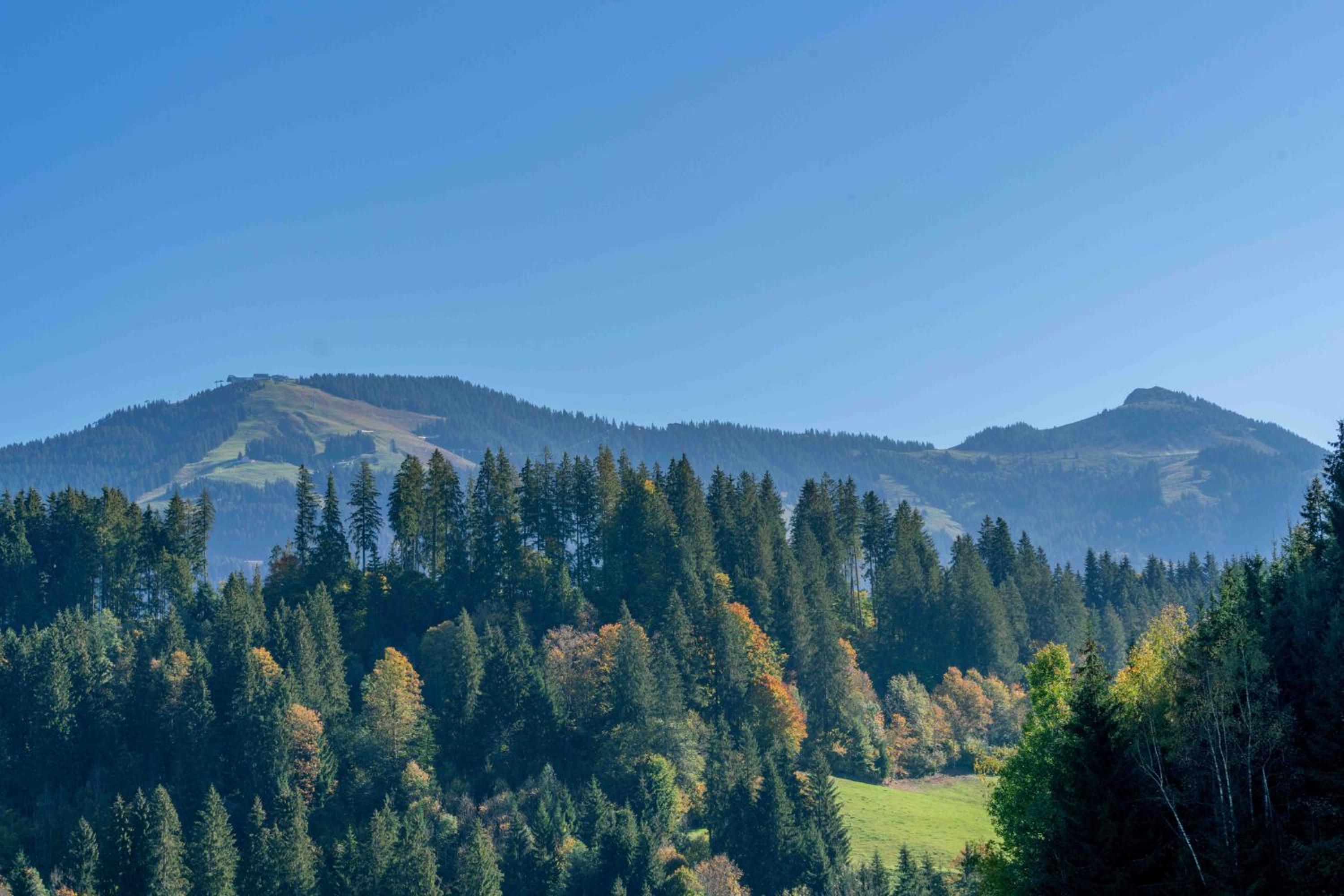 Getznerhof