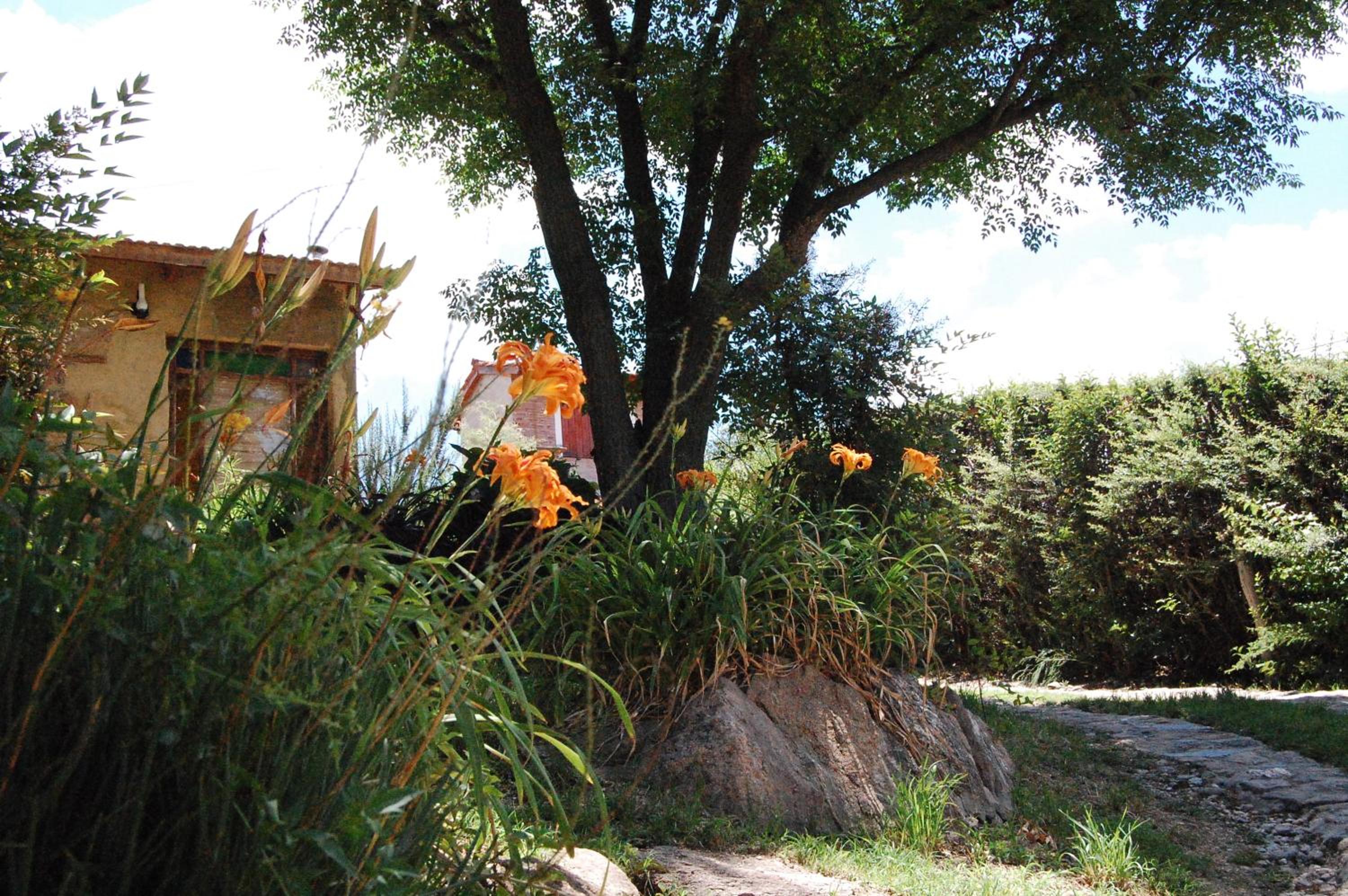 Casa Amarilla