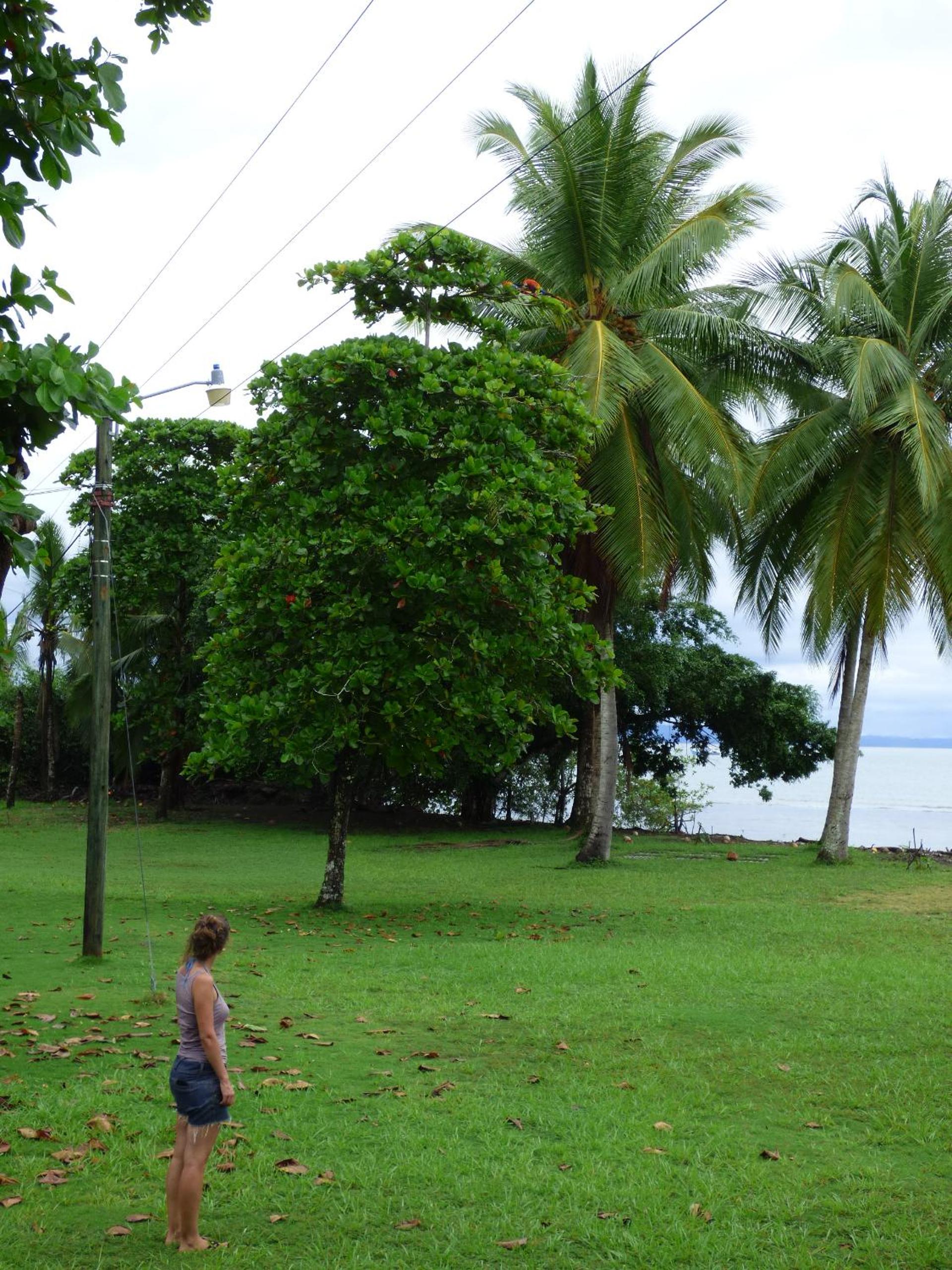 Corcovado Beach Lodge