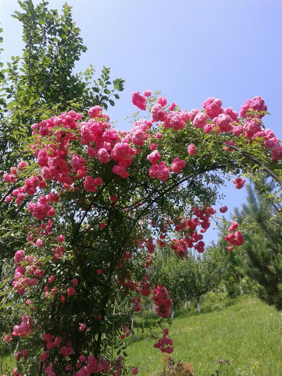 Photo 27