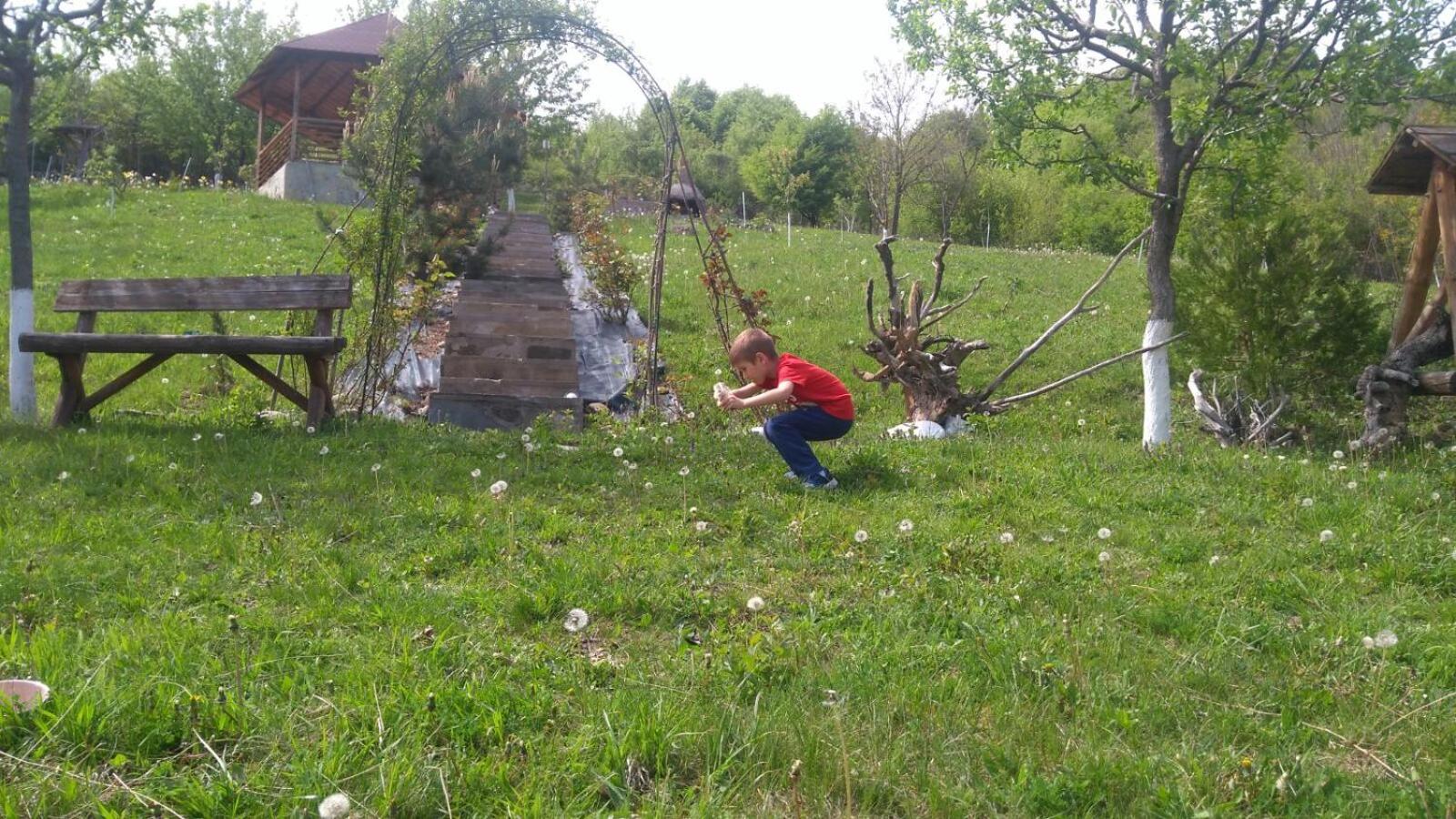 Photo 28