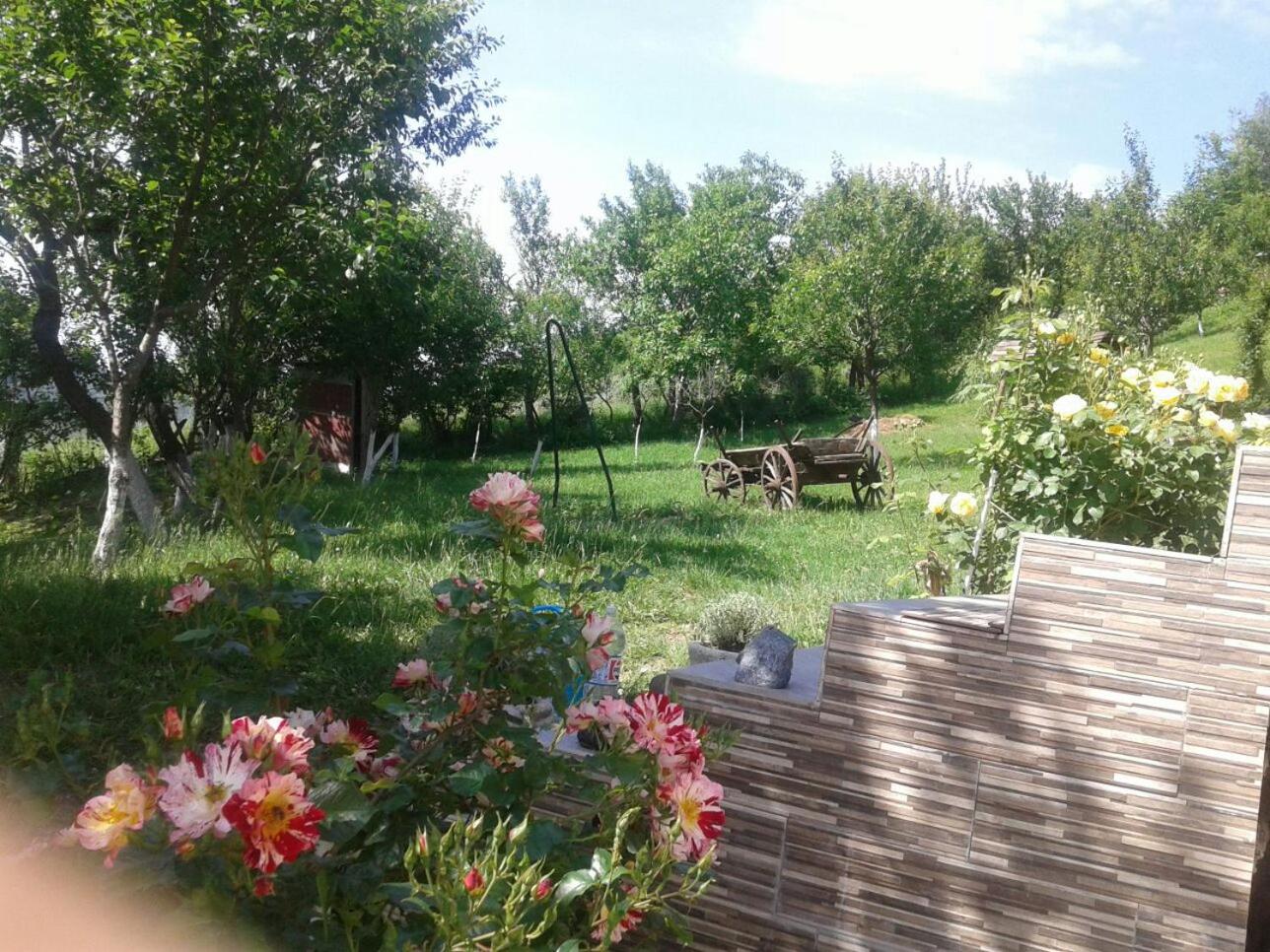 Casa 4 Anotimpuri view 2