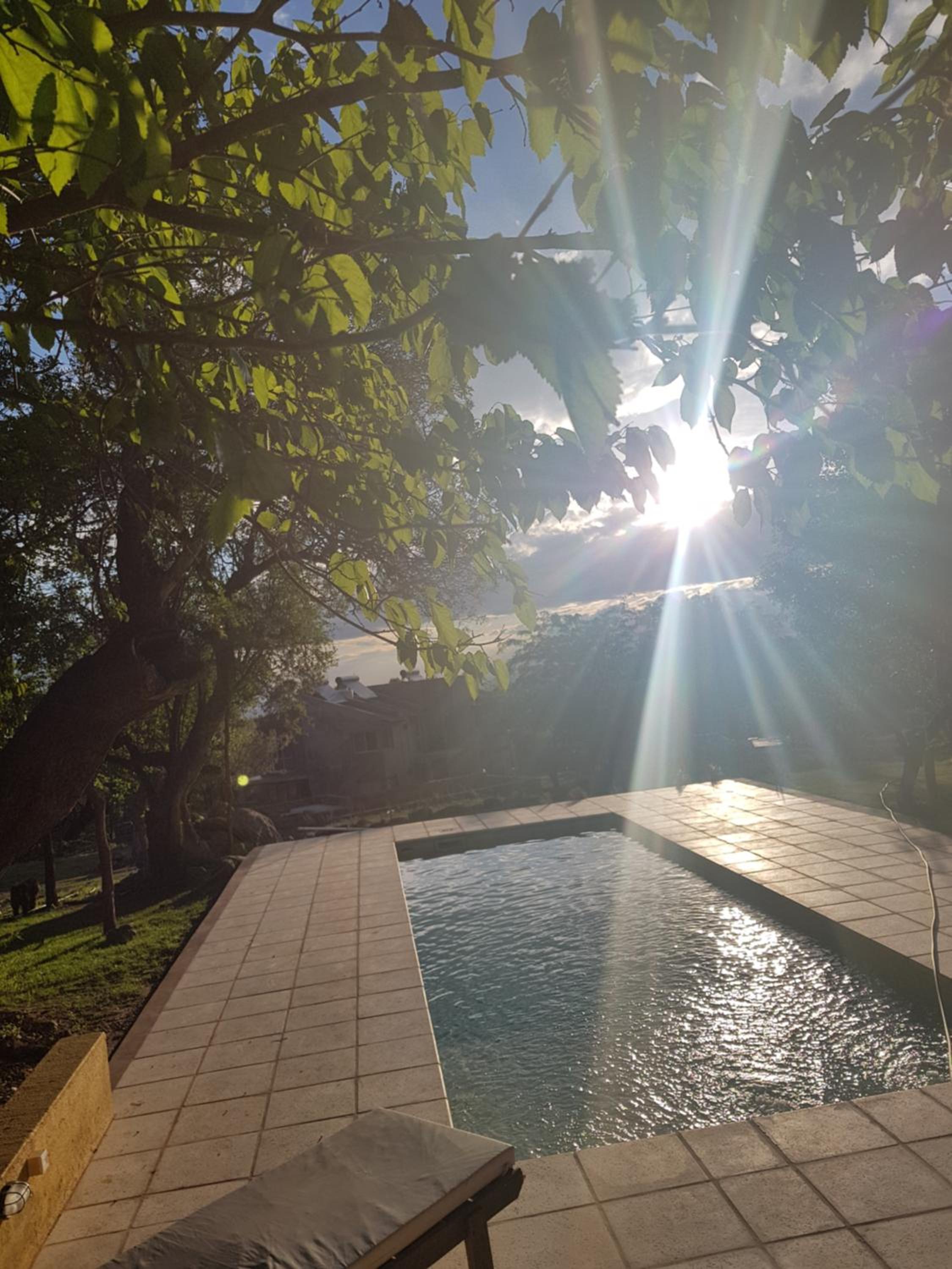 Alma Tierra