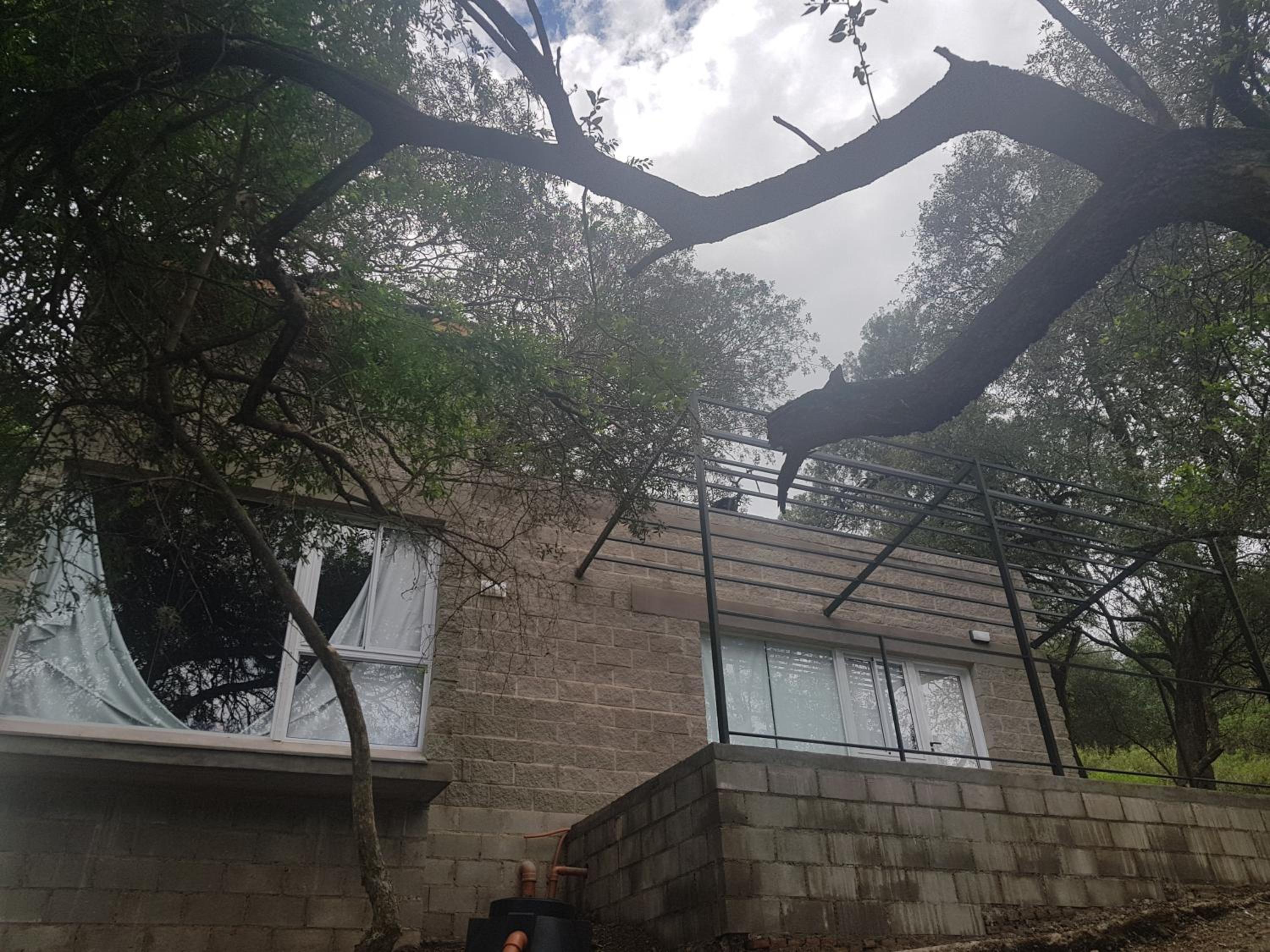 Alma Tierra