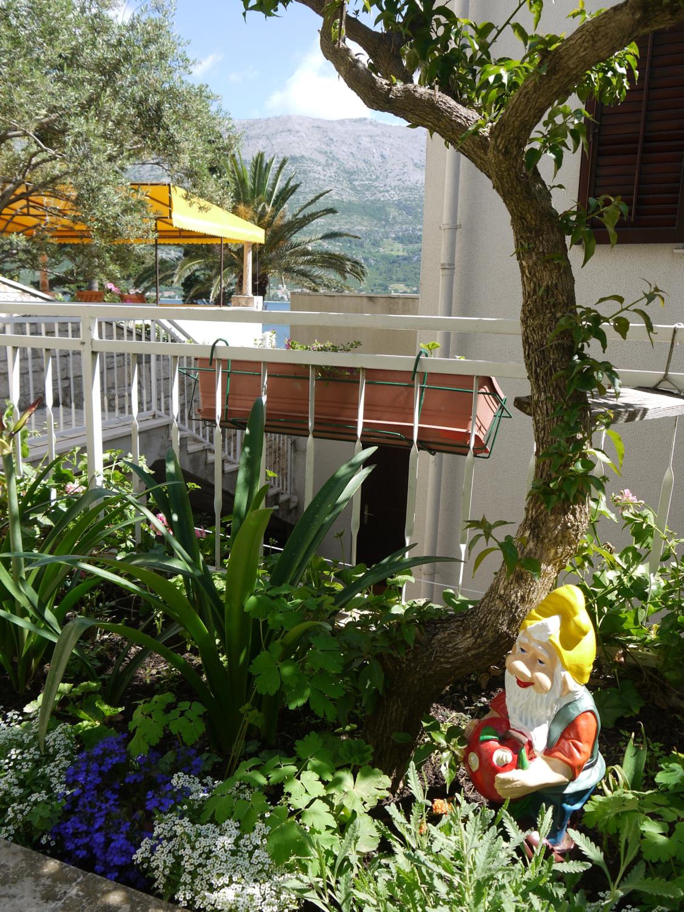 Photo 35