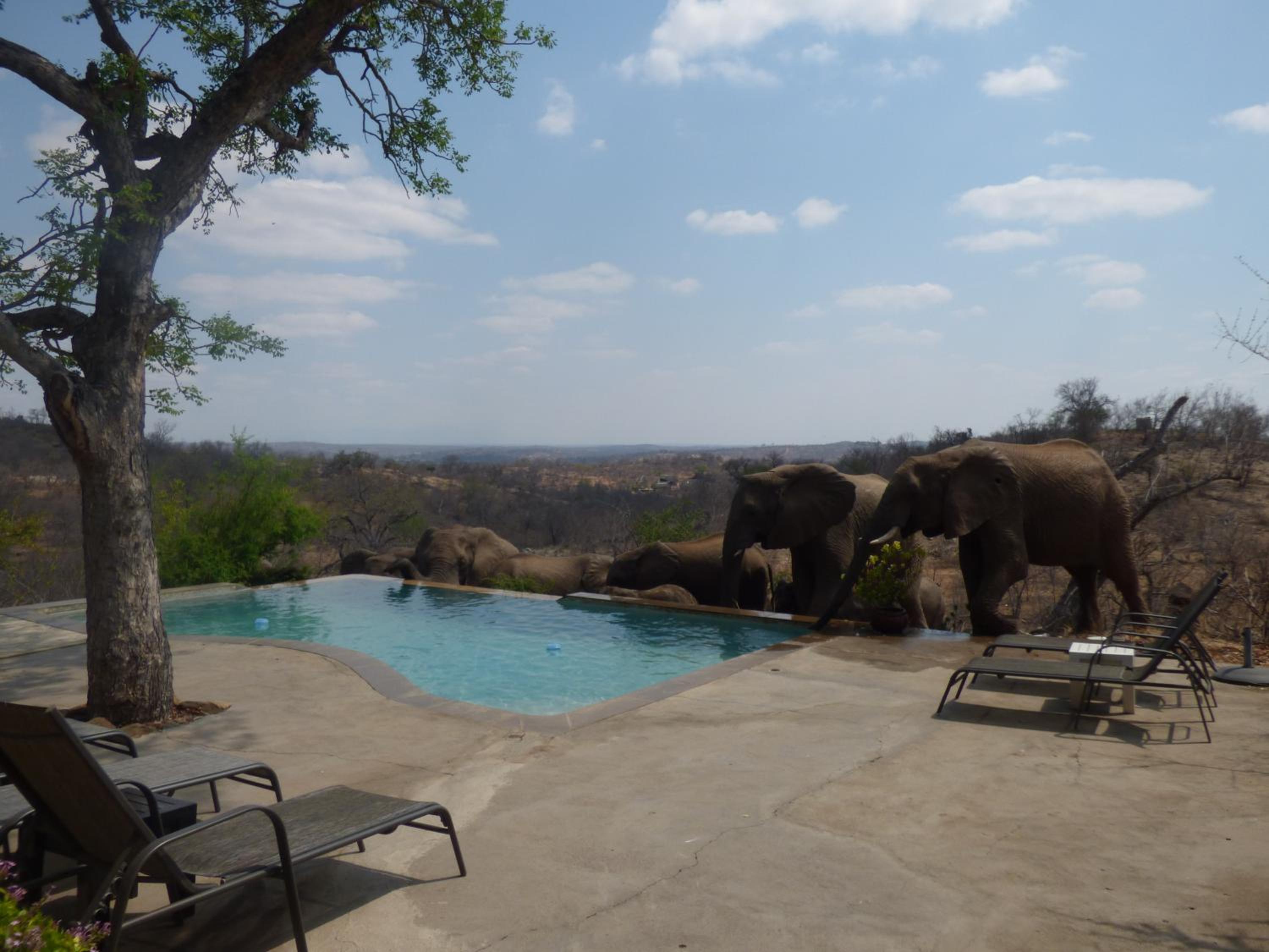 Mbizi Bush Lodge