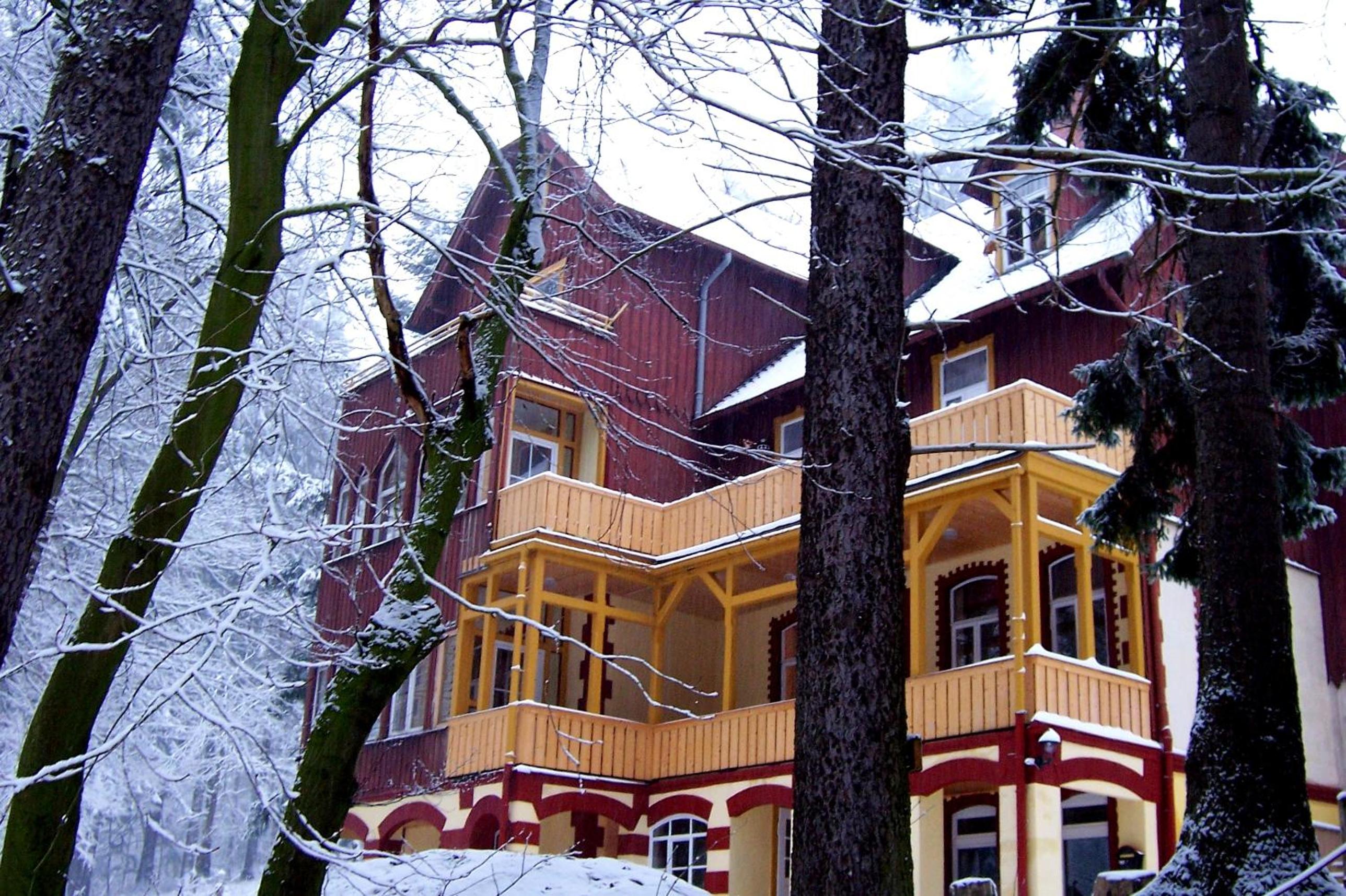 Forest-Lodge