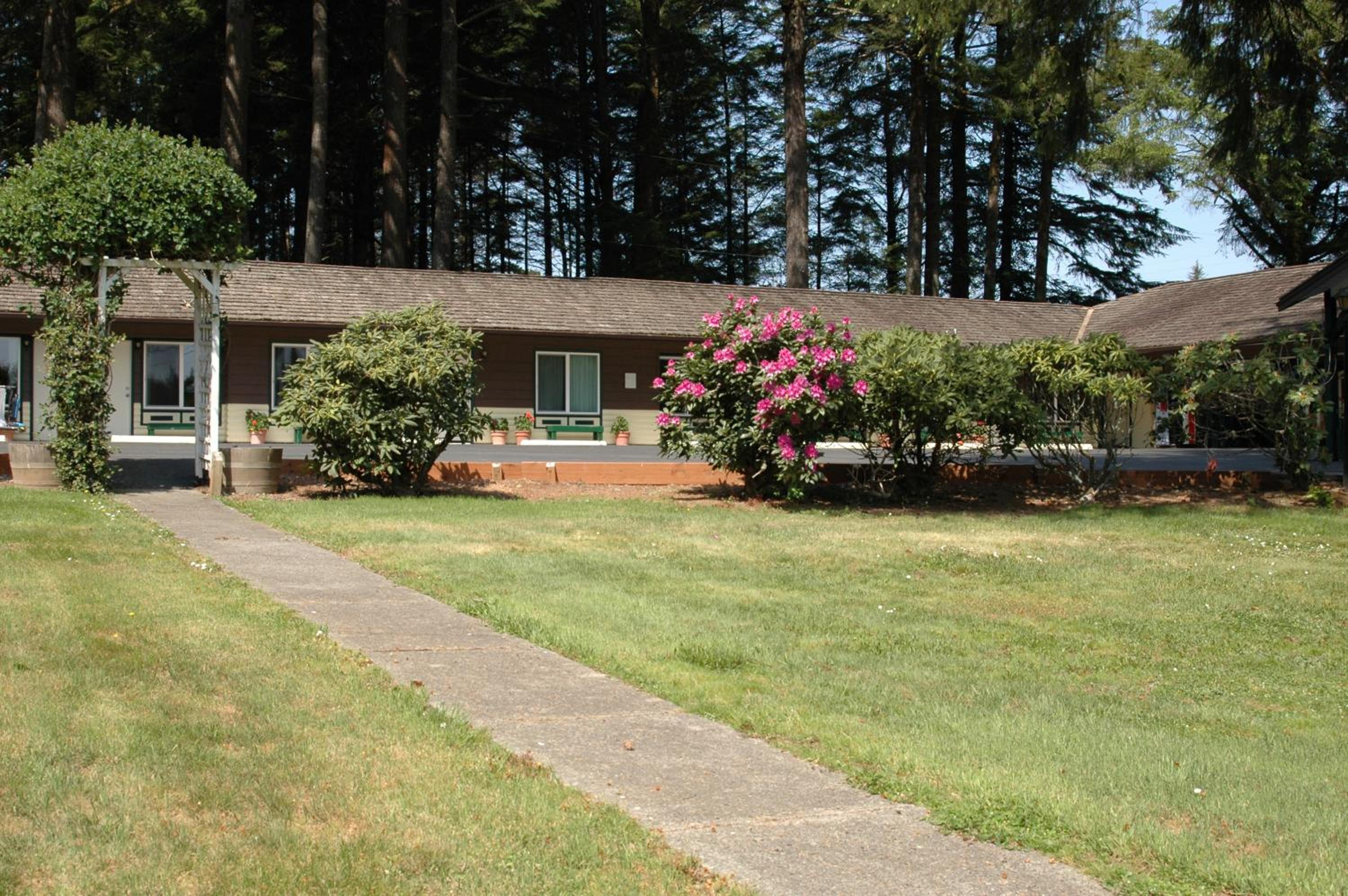 Park Motel and Cabins