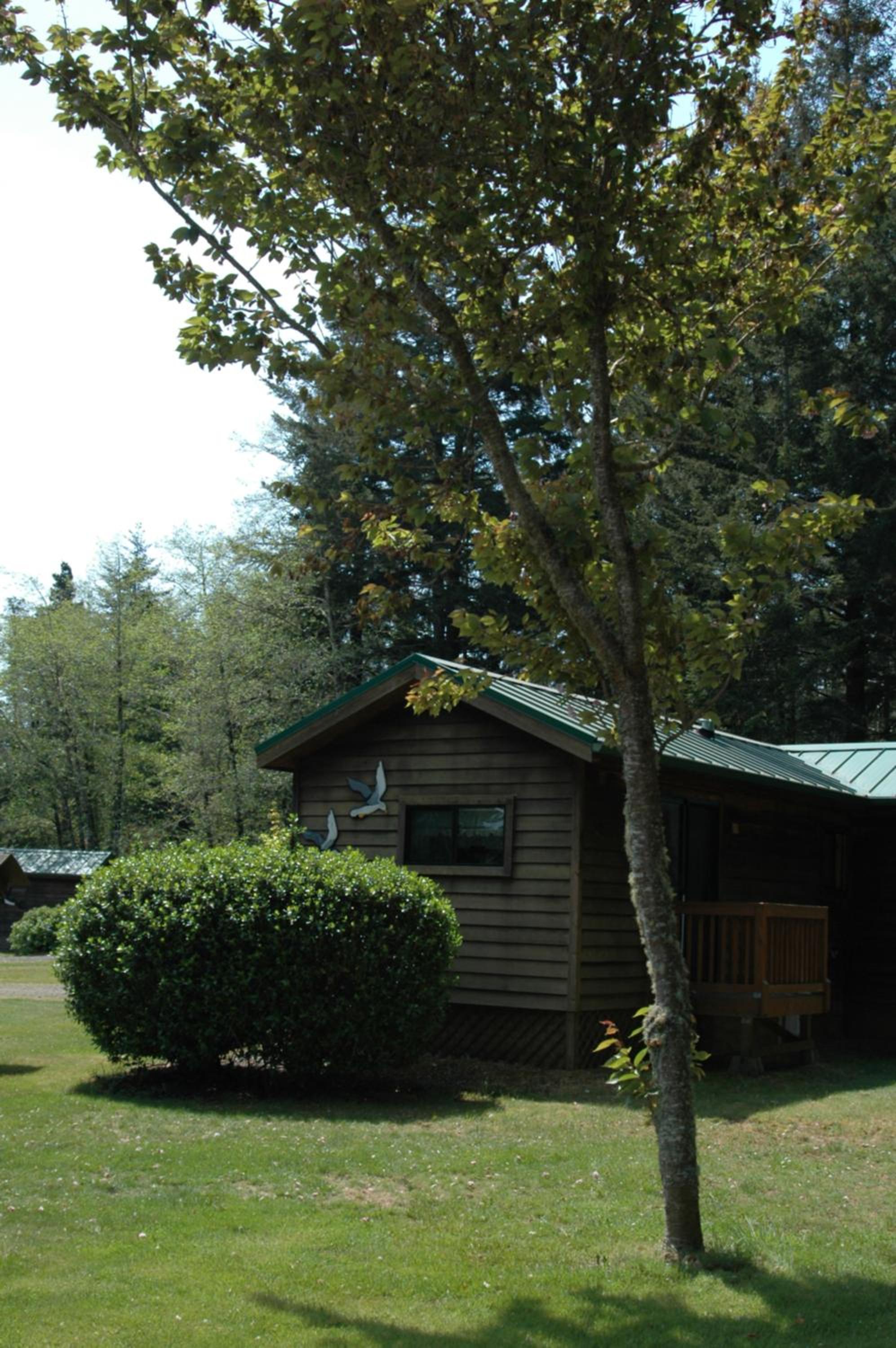 Park Motel and Cabins