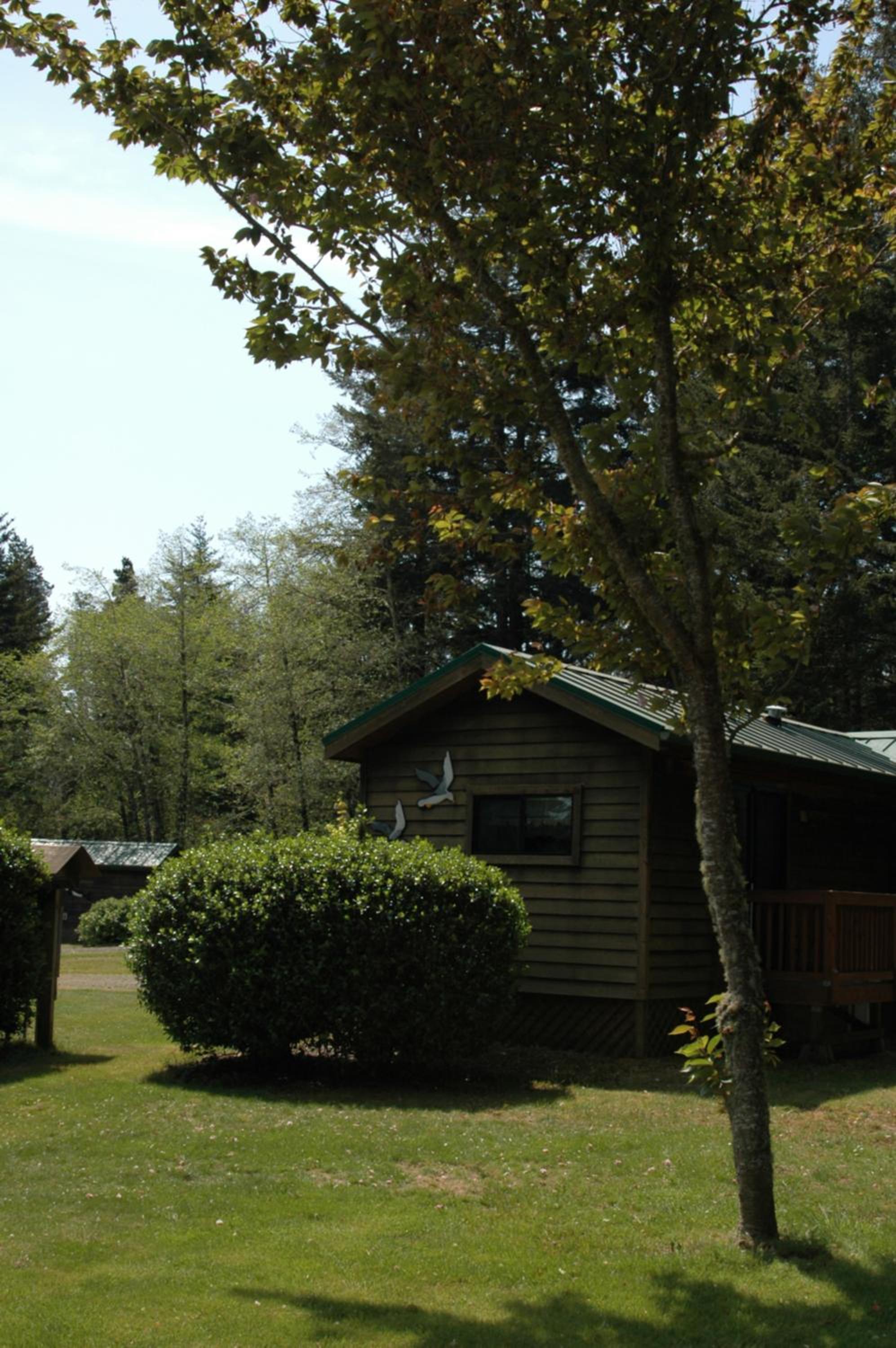 Park Motel and Cabins