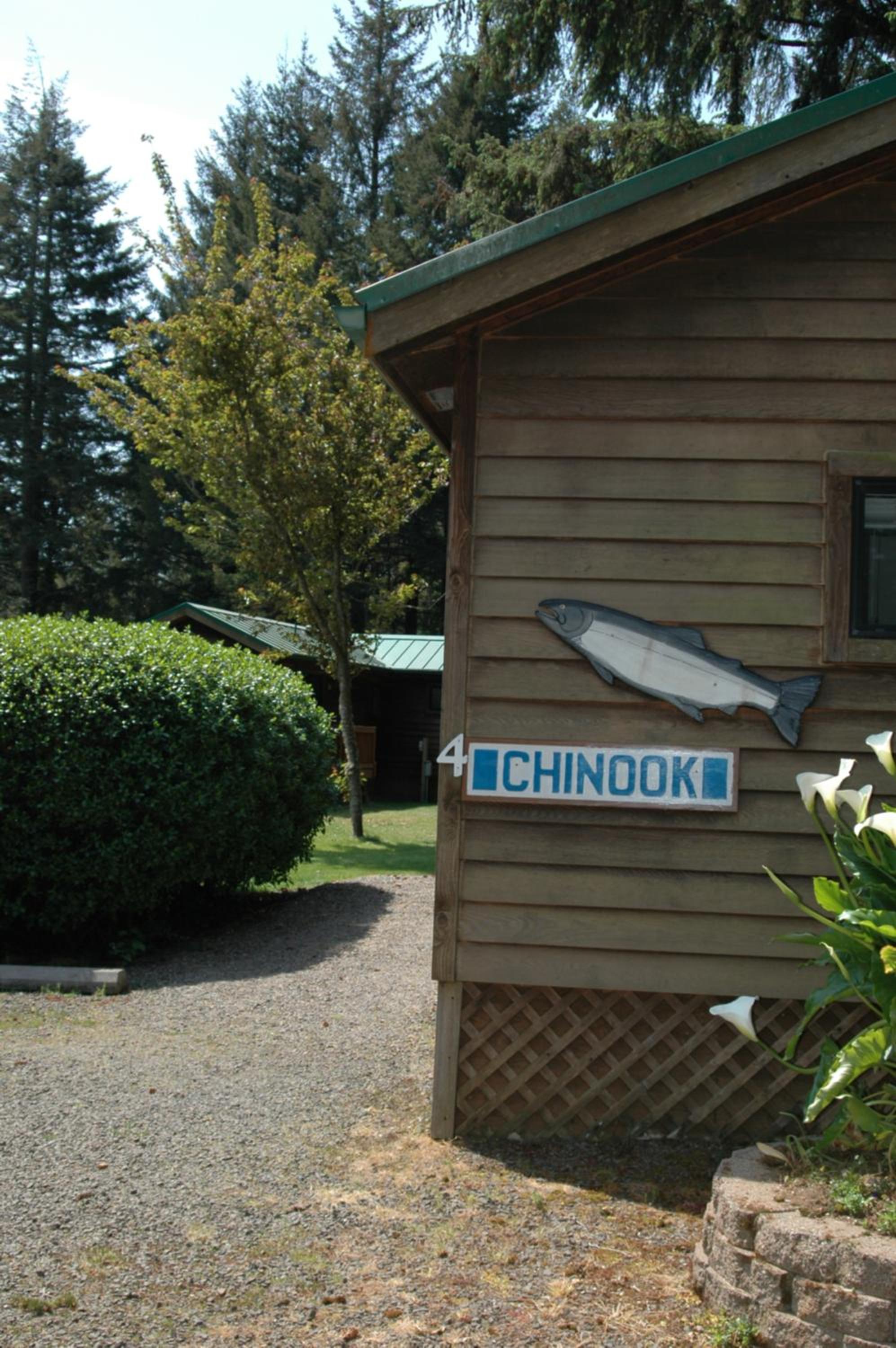 Park Motel and Cabins