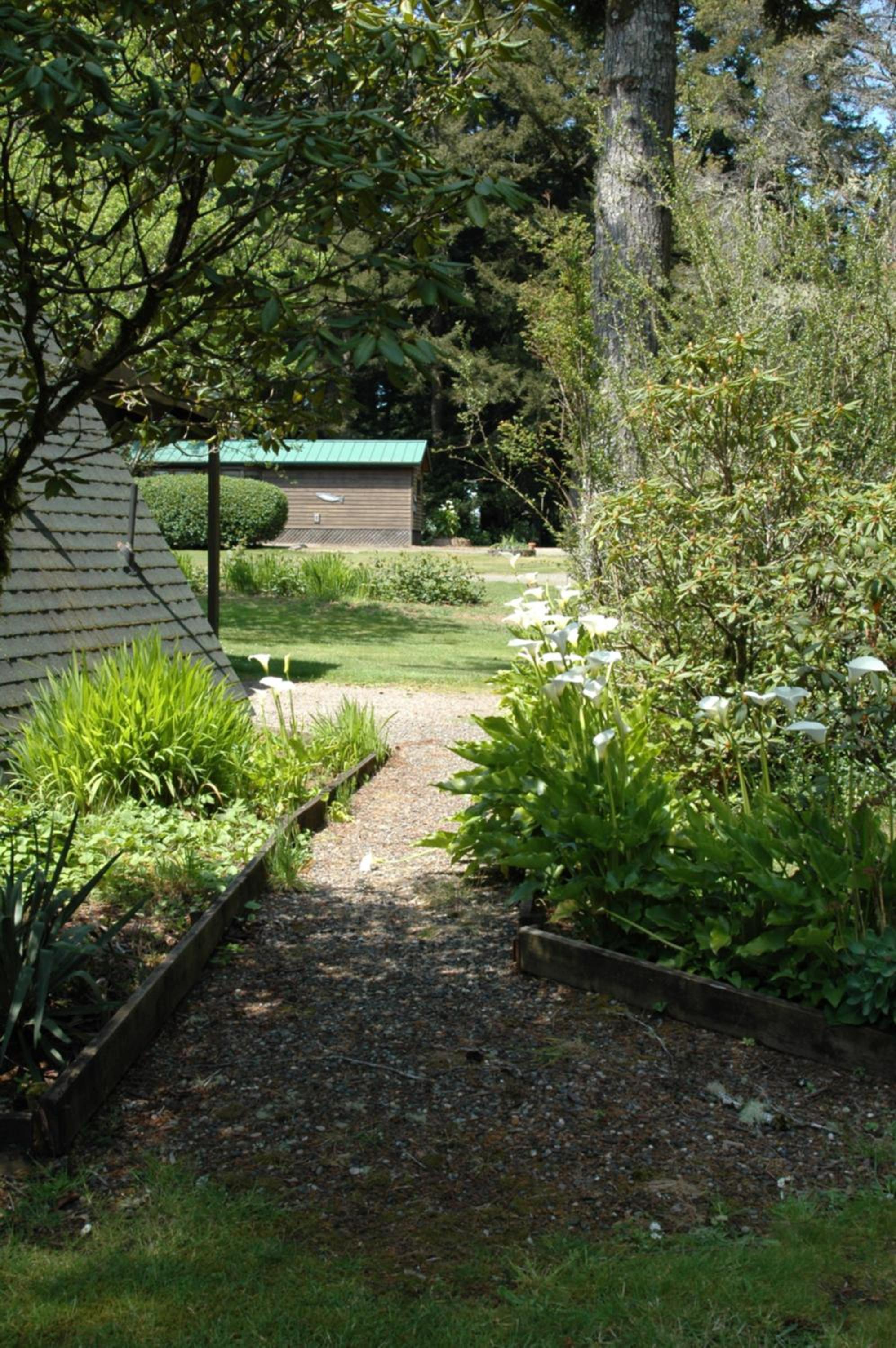Park Motel and Cabins