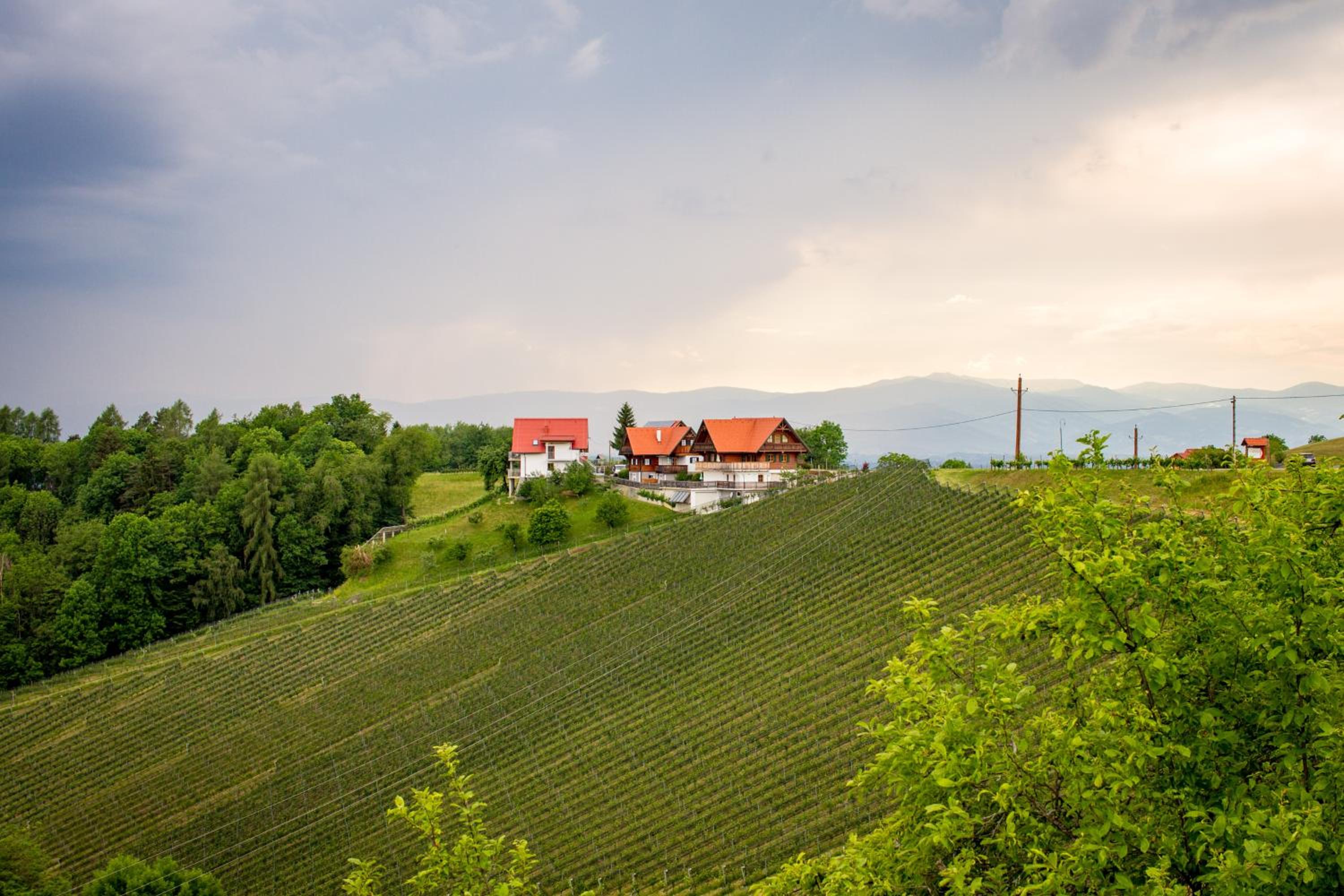 Kellerstöckl
