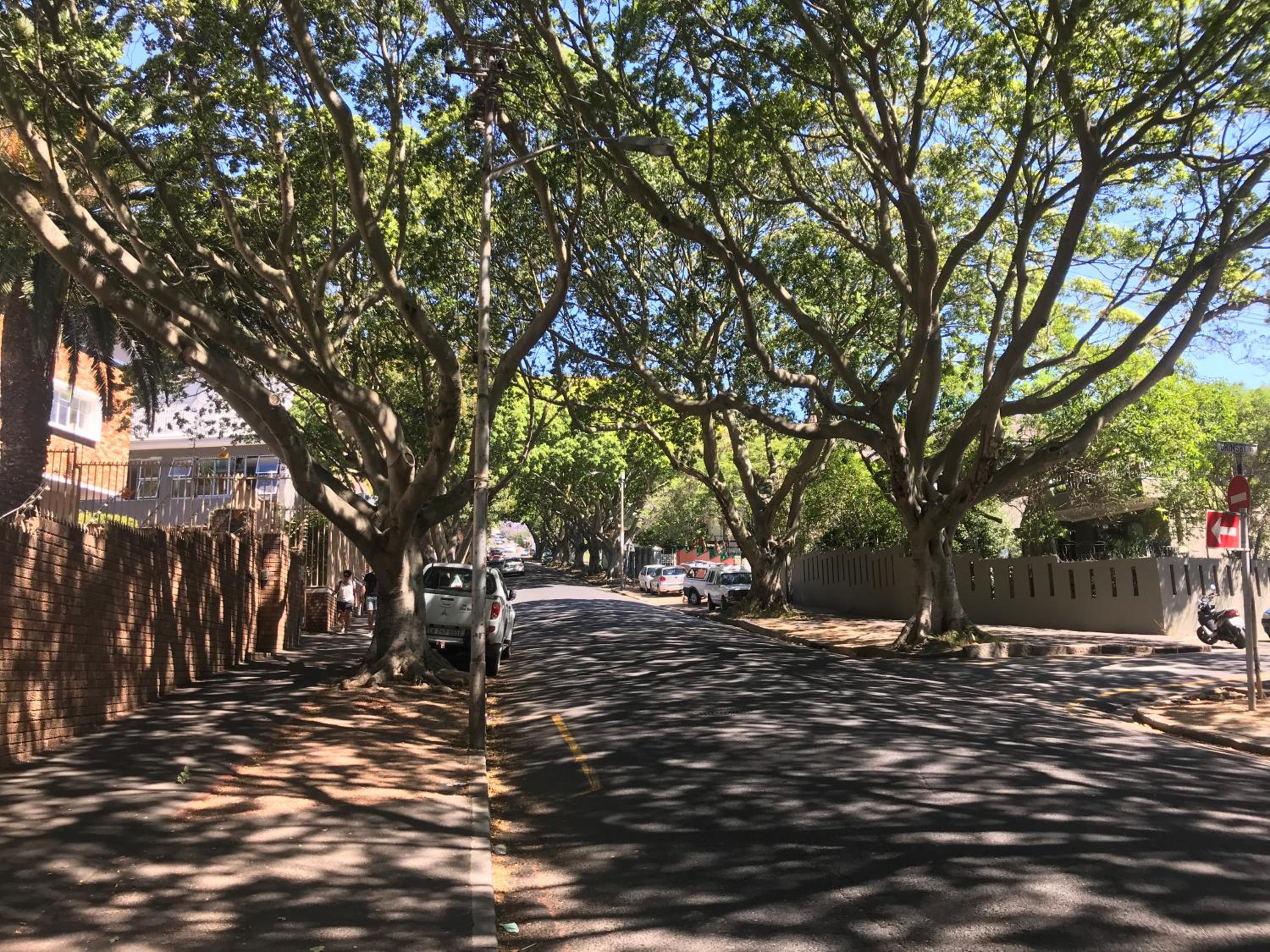 Green Point Self Catering Studios