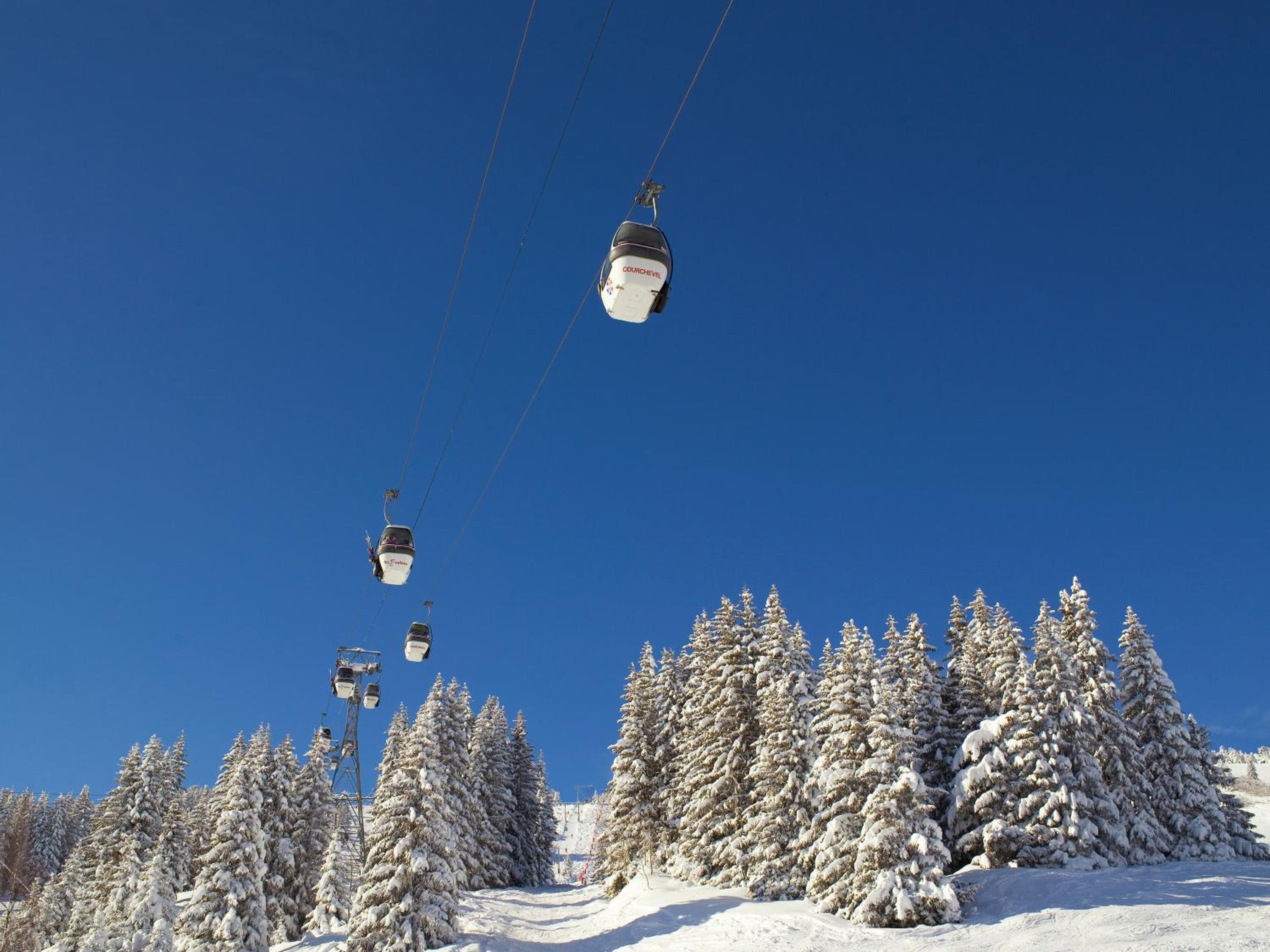Appartement d'Exception - Domaine du Jardin Alpin, Courchevel 1850