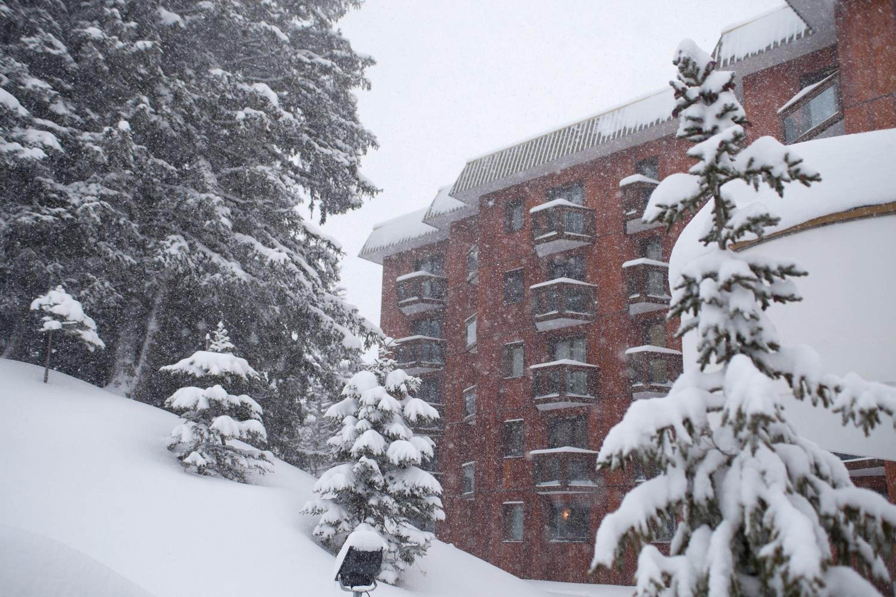Appartement d'Exception - Domaine du Jardin Alpin, Courchevel 1850
