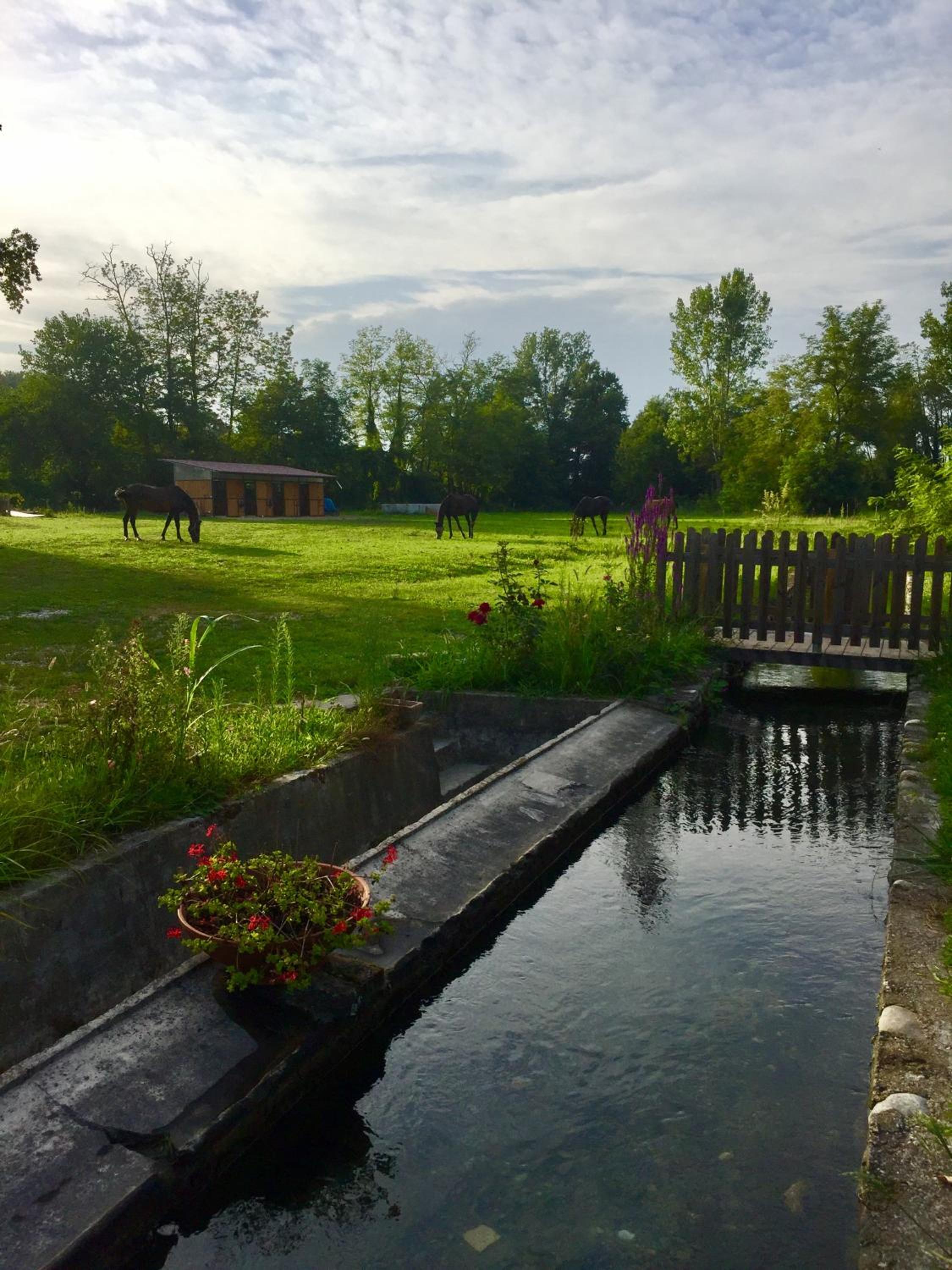 Agriturismo Helianthus