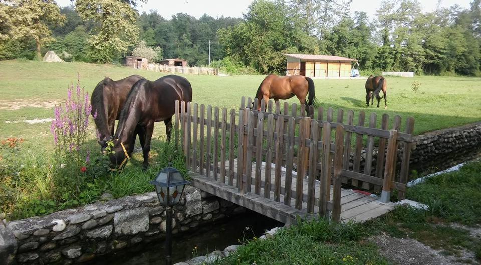 Agriturismo Helianthus