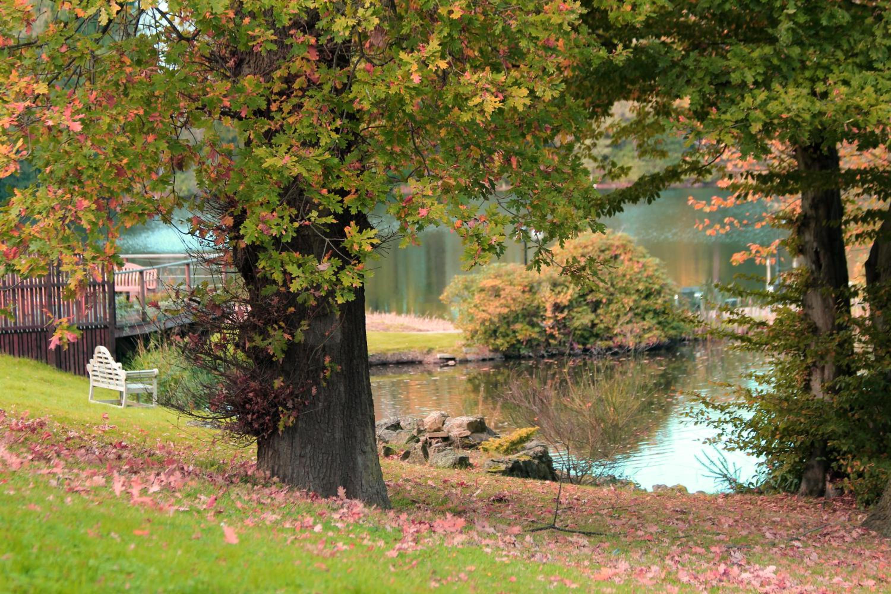 Inn On The Lake
