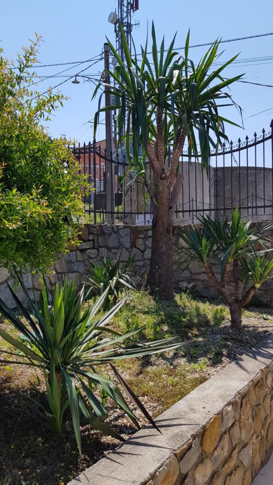 PICCOLA CASA CON GIARDINO photo 5