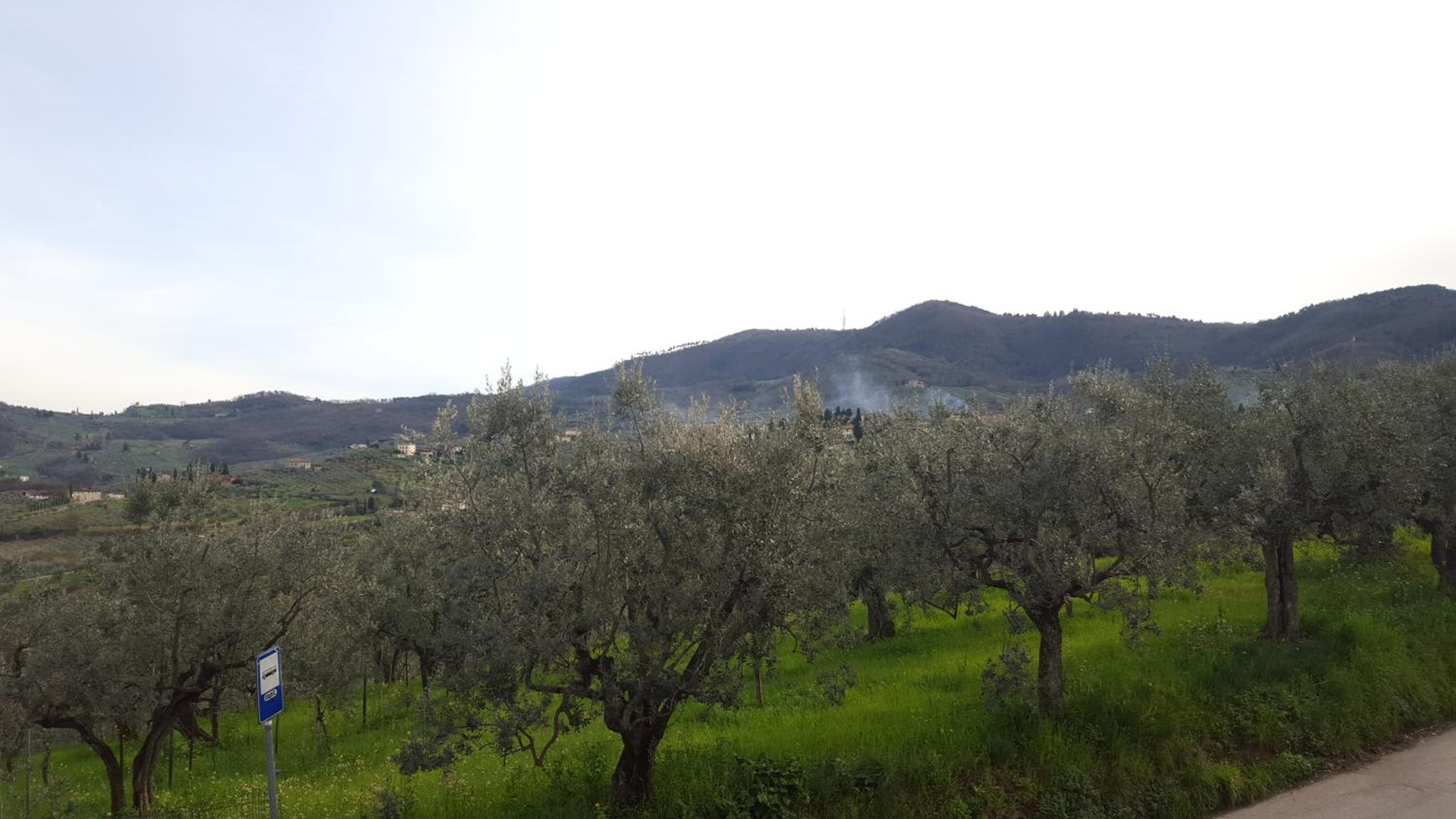 Casa Leonardo view 3