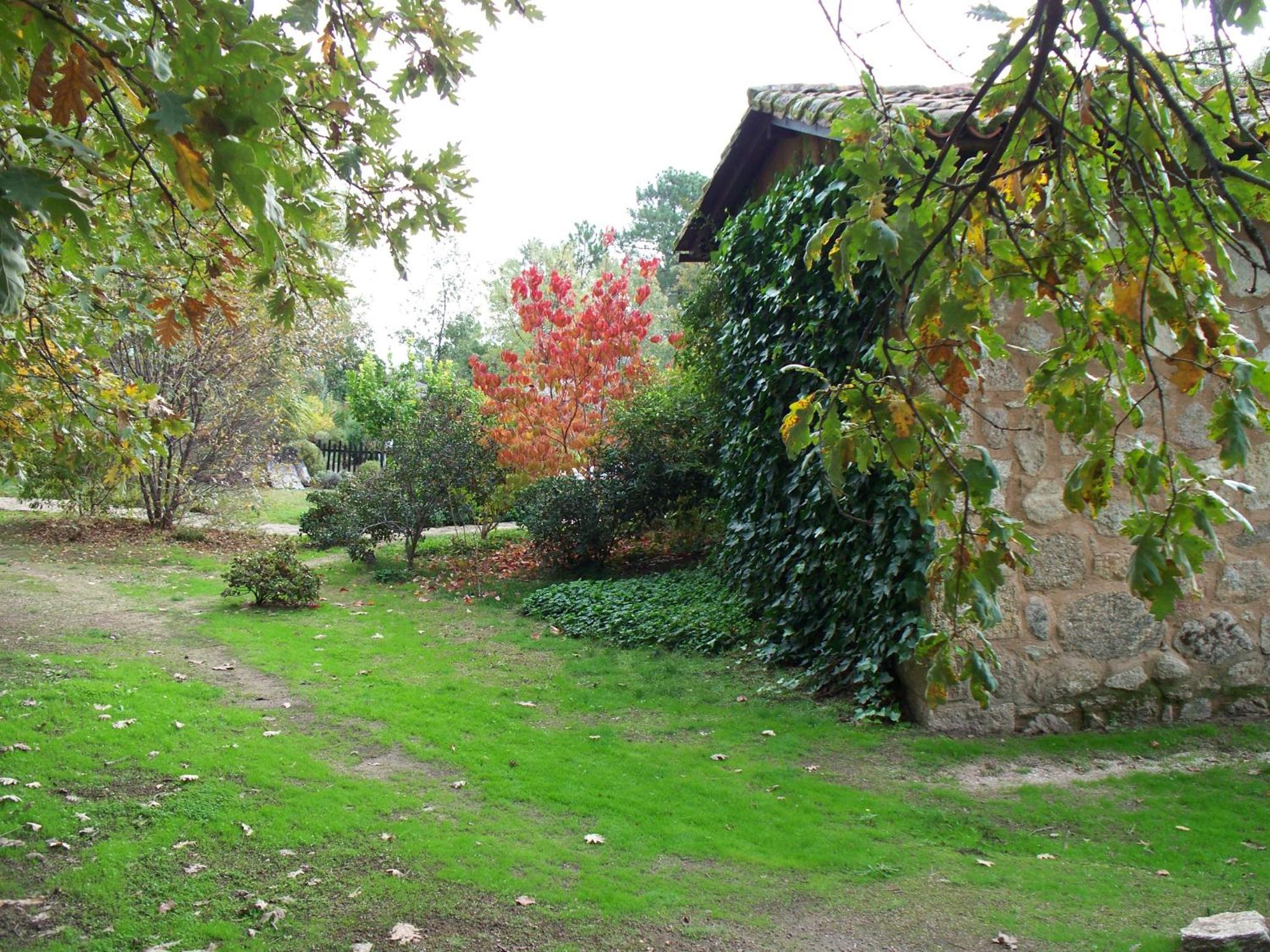 Photo 31