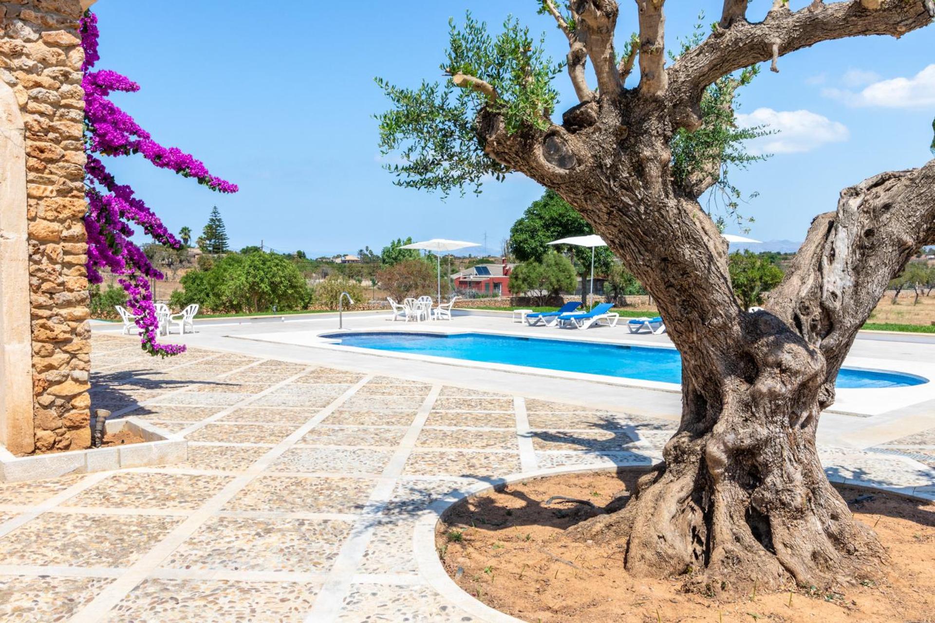 Santa Margalida Vacations - Villa Can Turquesa / Casa Turquesa - Property Image 11