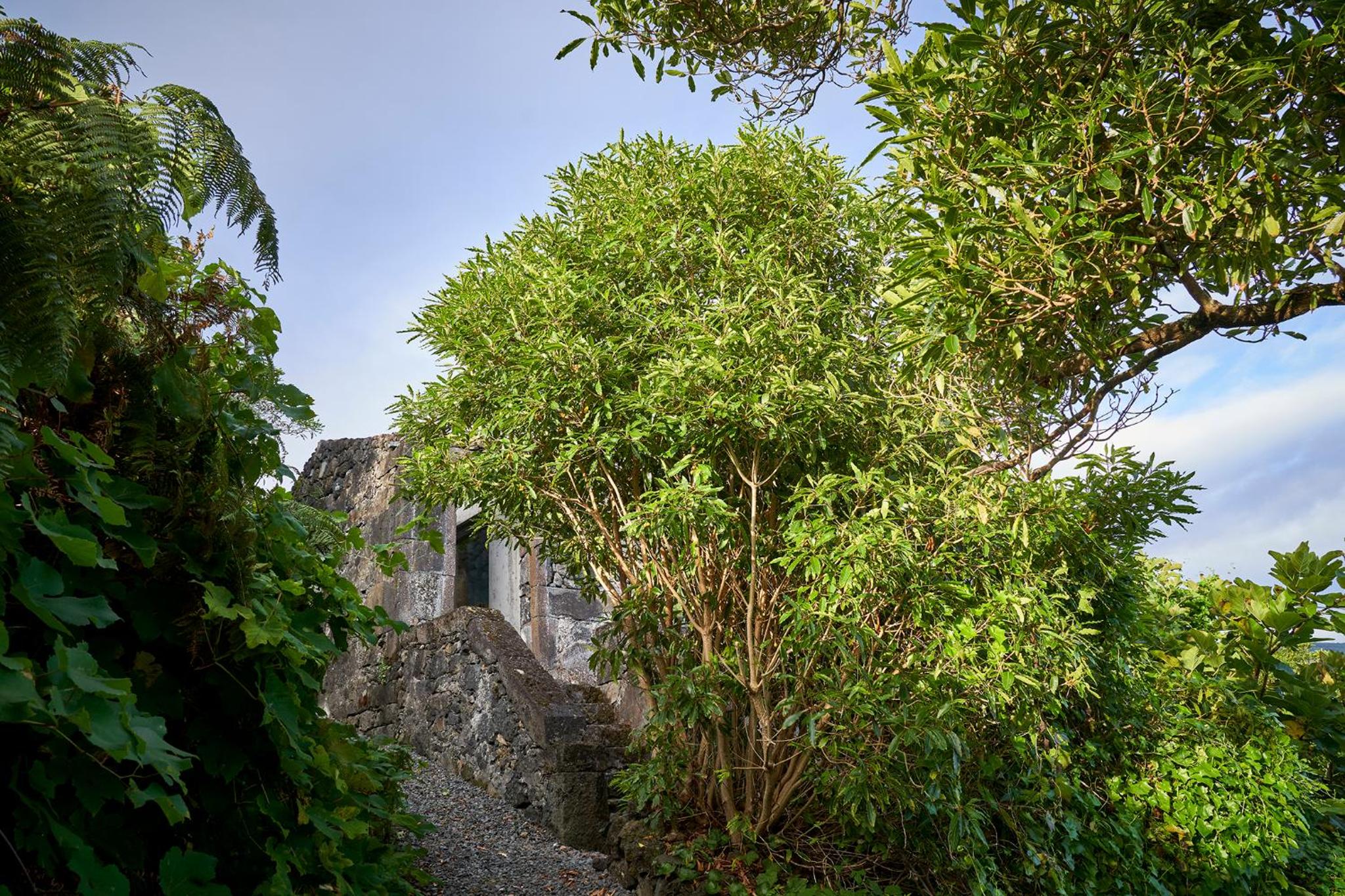 Casa do Ferreiro view 5