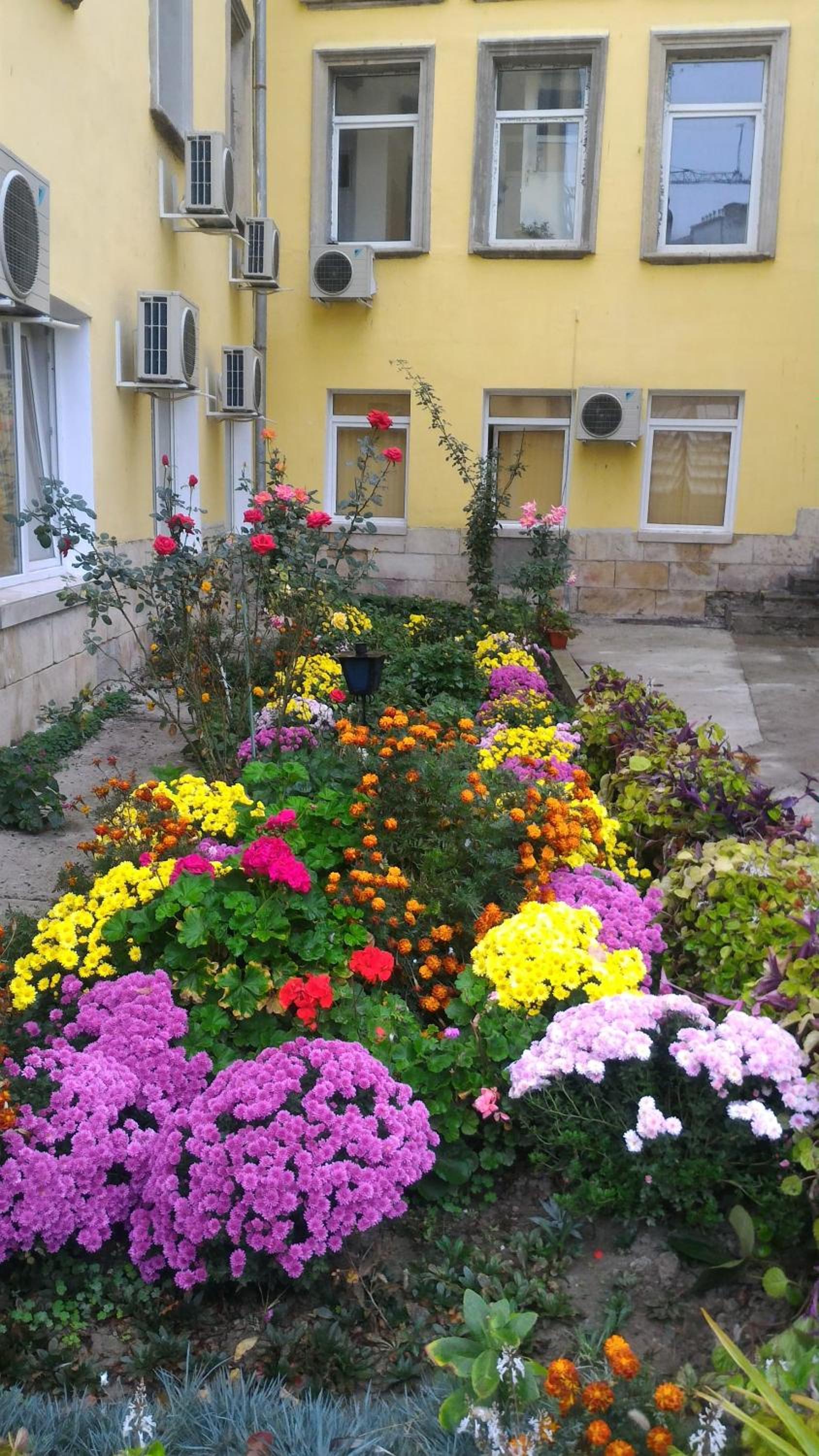 Photo 26