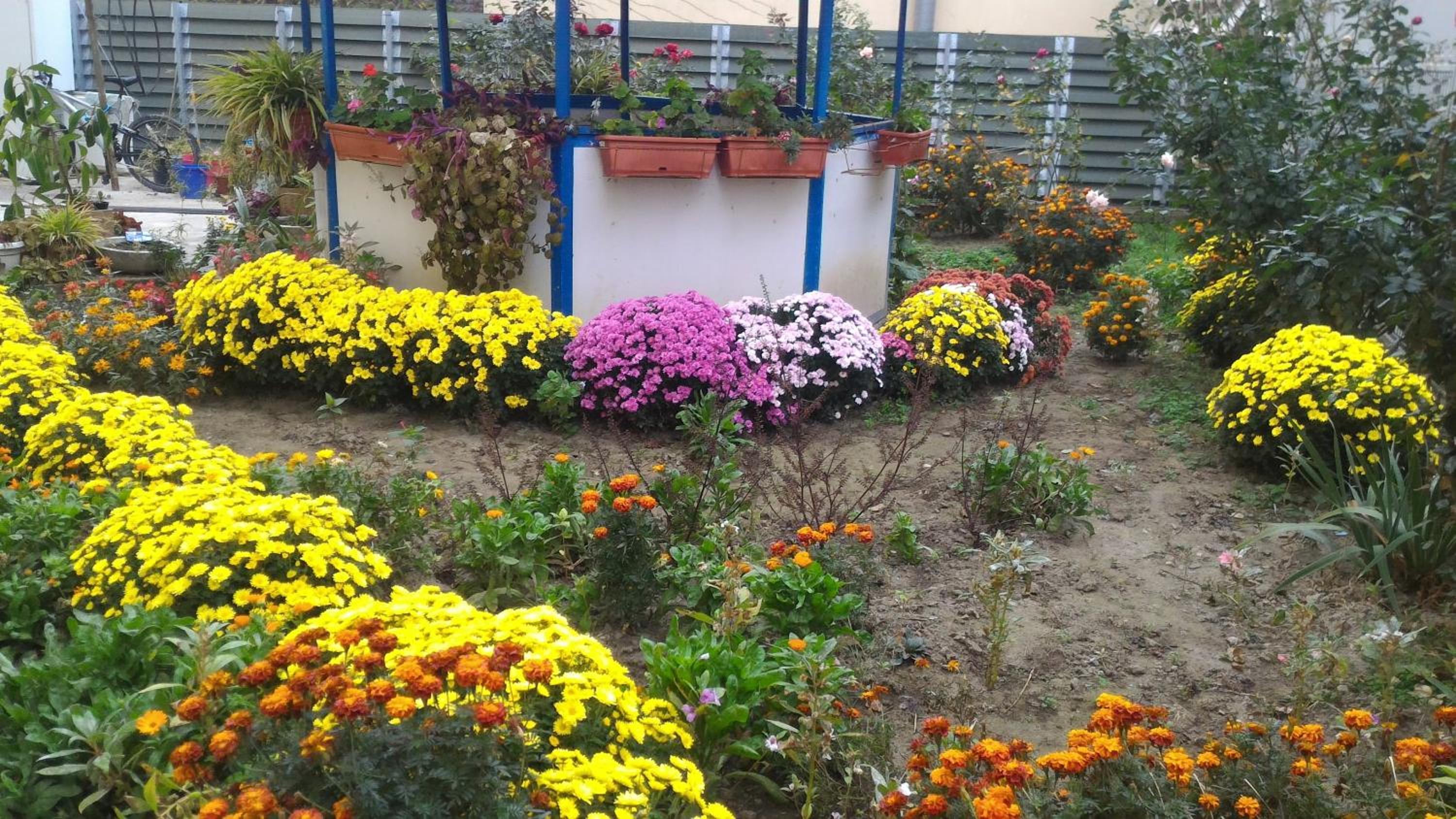 Photo 15