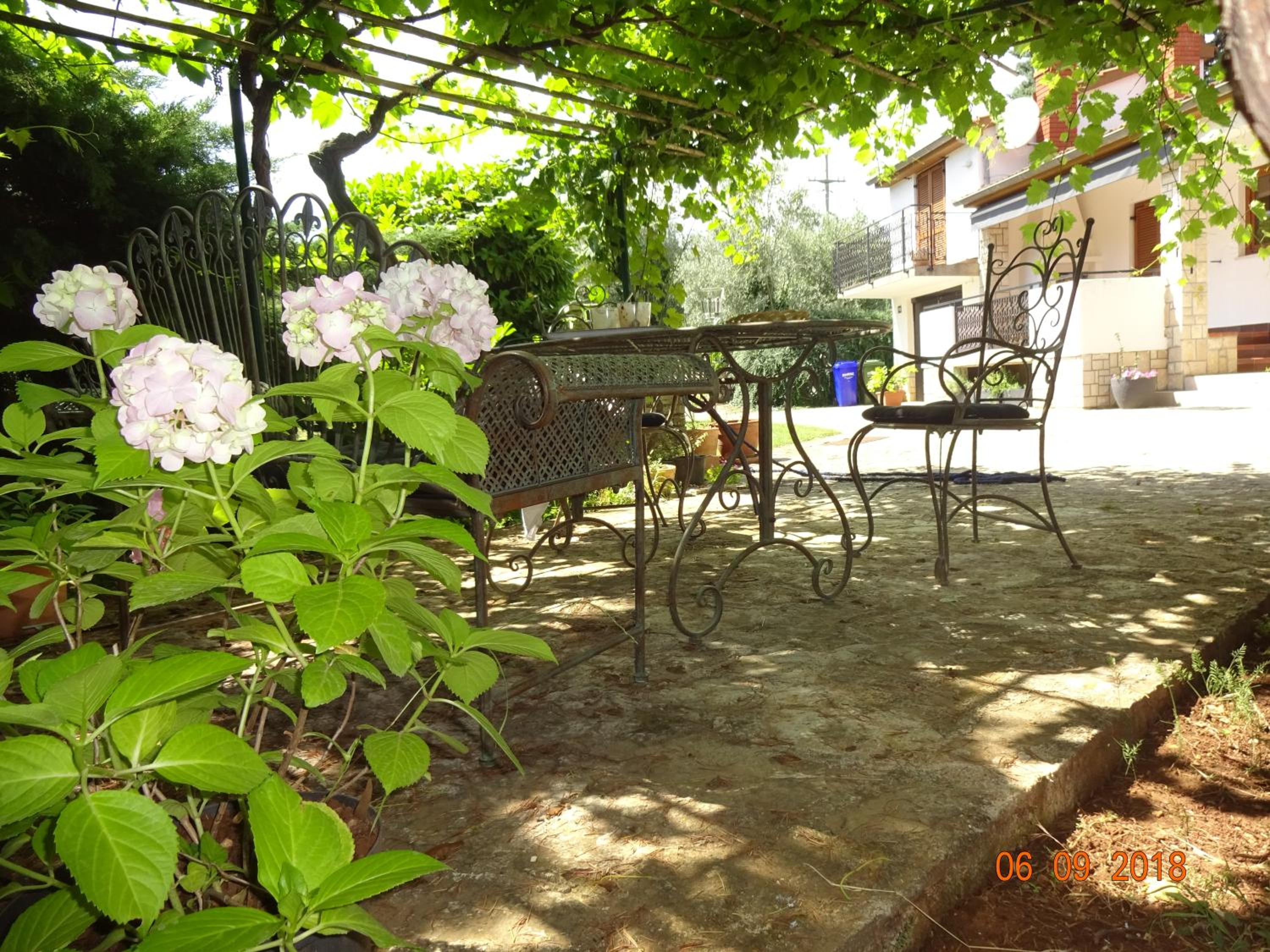 Photo 13